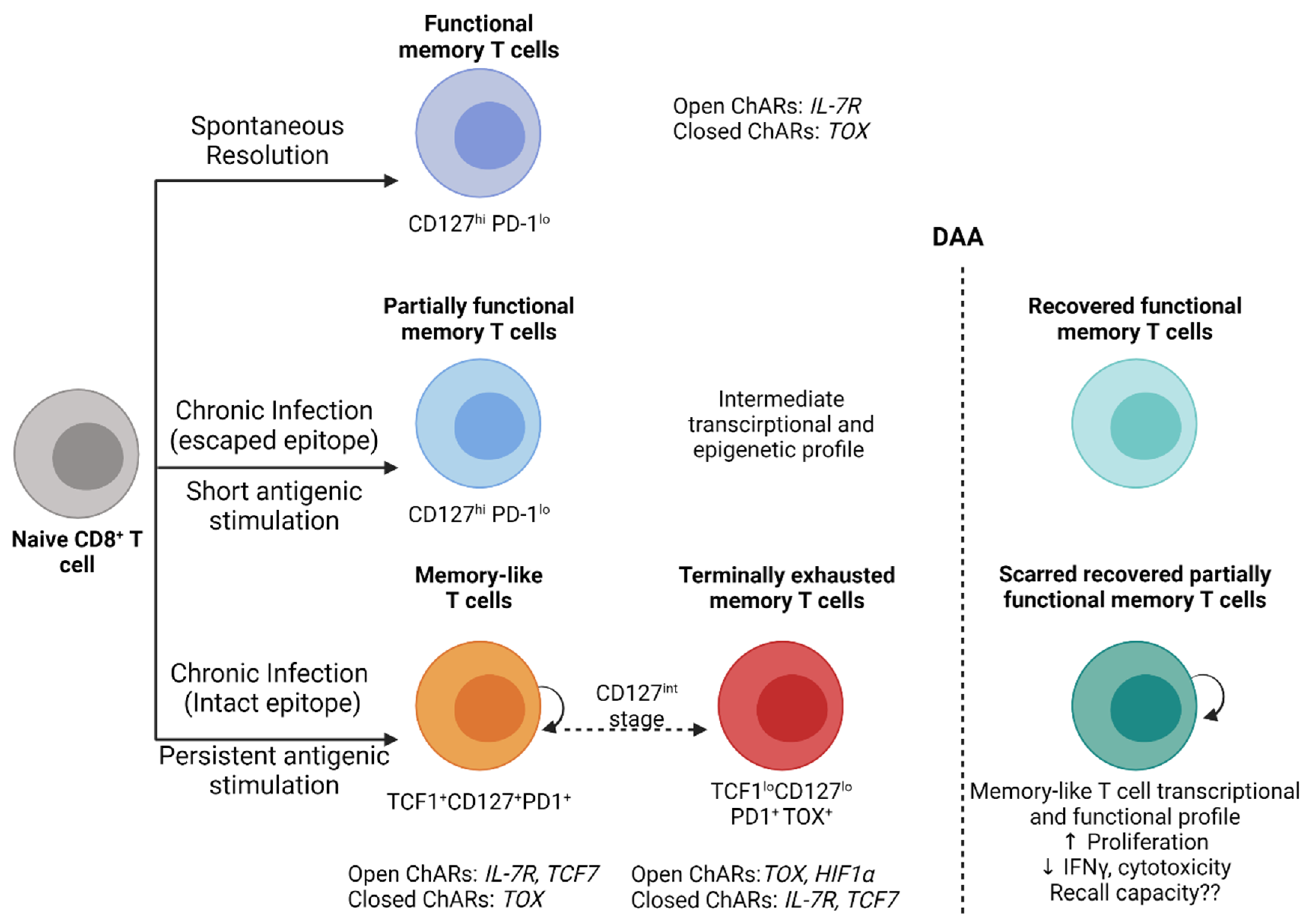 Viruses 13 01871 g001 Viruses 13 01871 g001