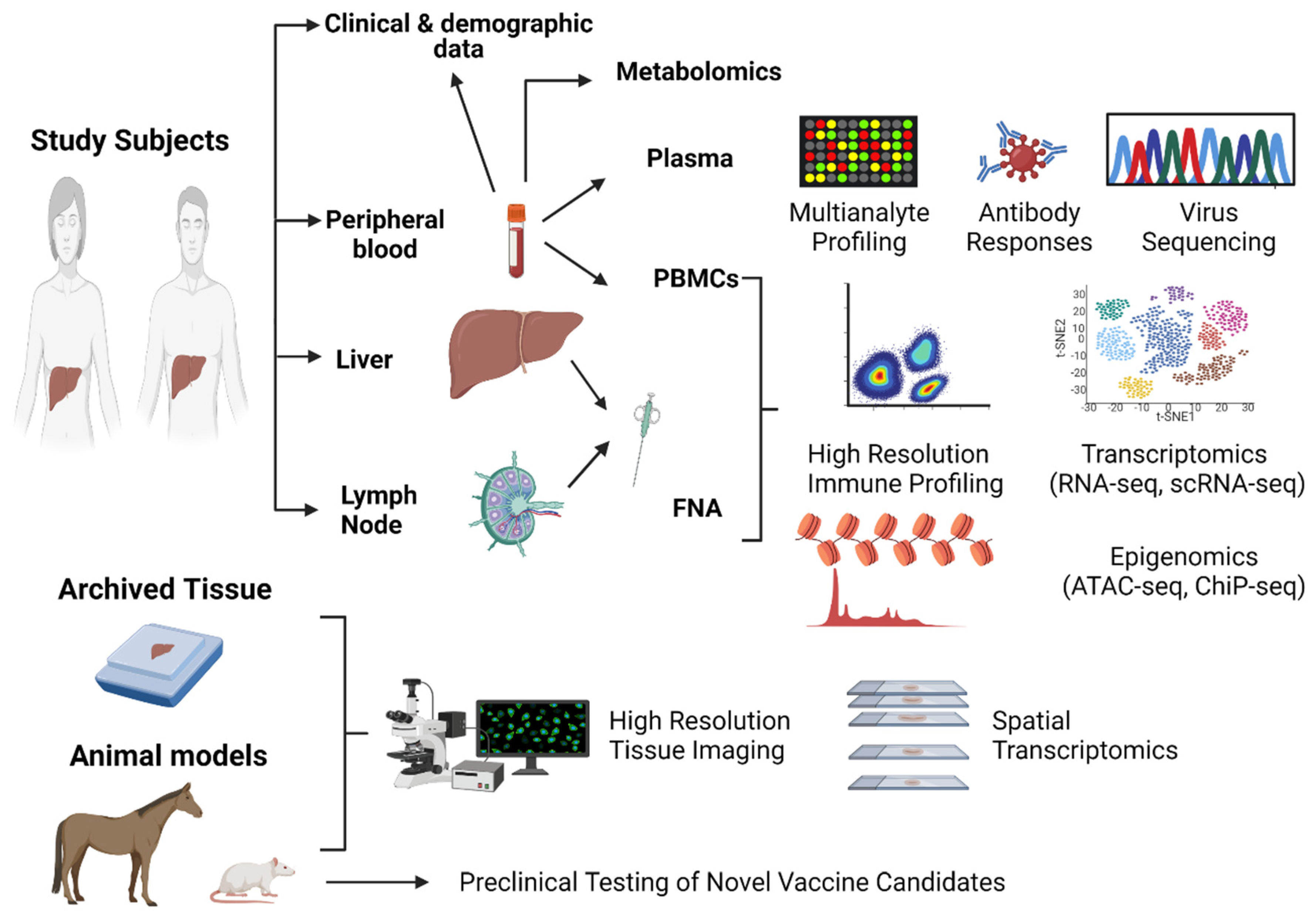 Viruses 13 01871 g002 Viruses 13 01871 g002