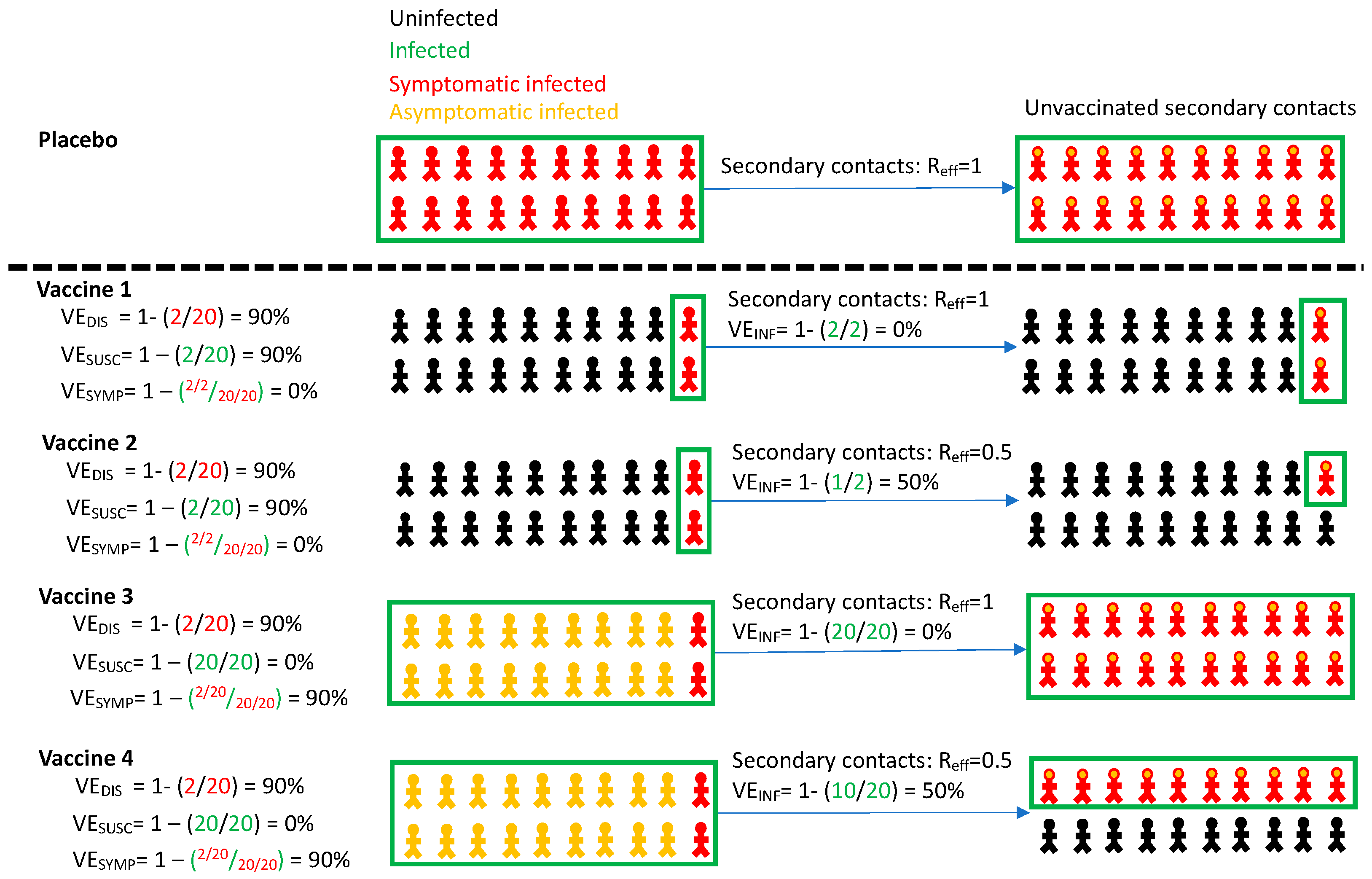 Viruses 13 01921 g001