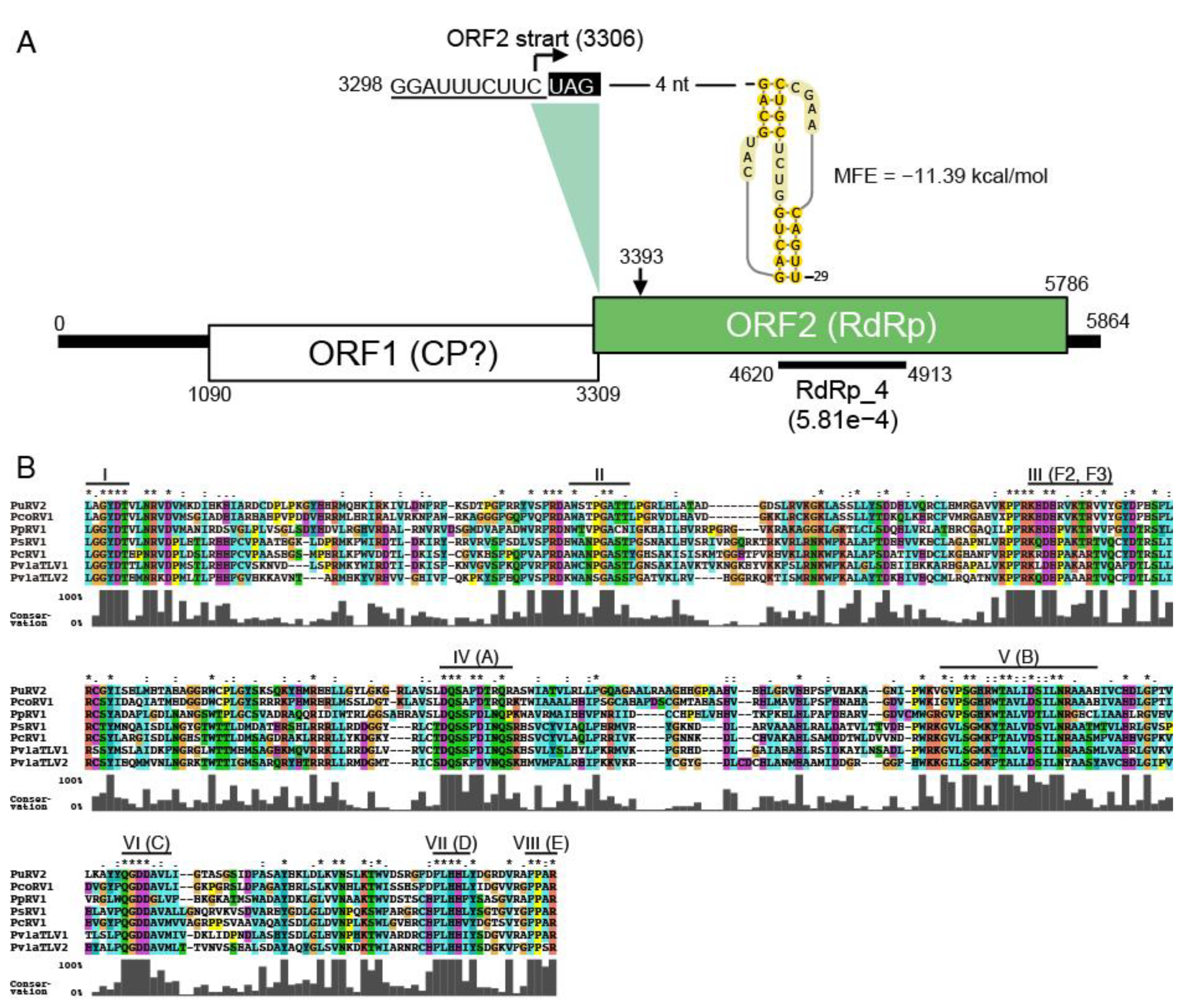 Viruses 13 01931 g004