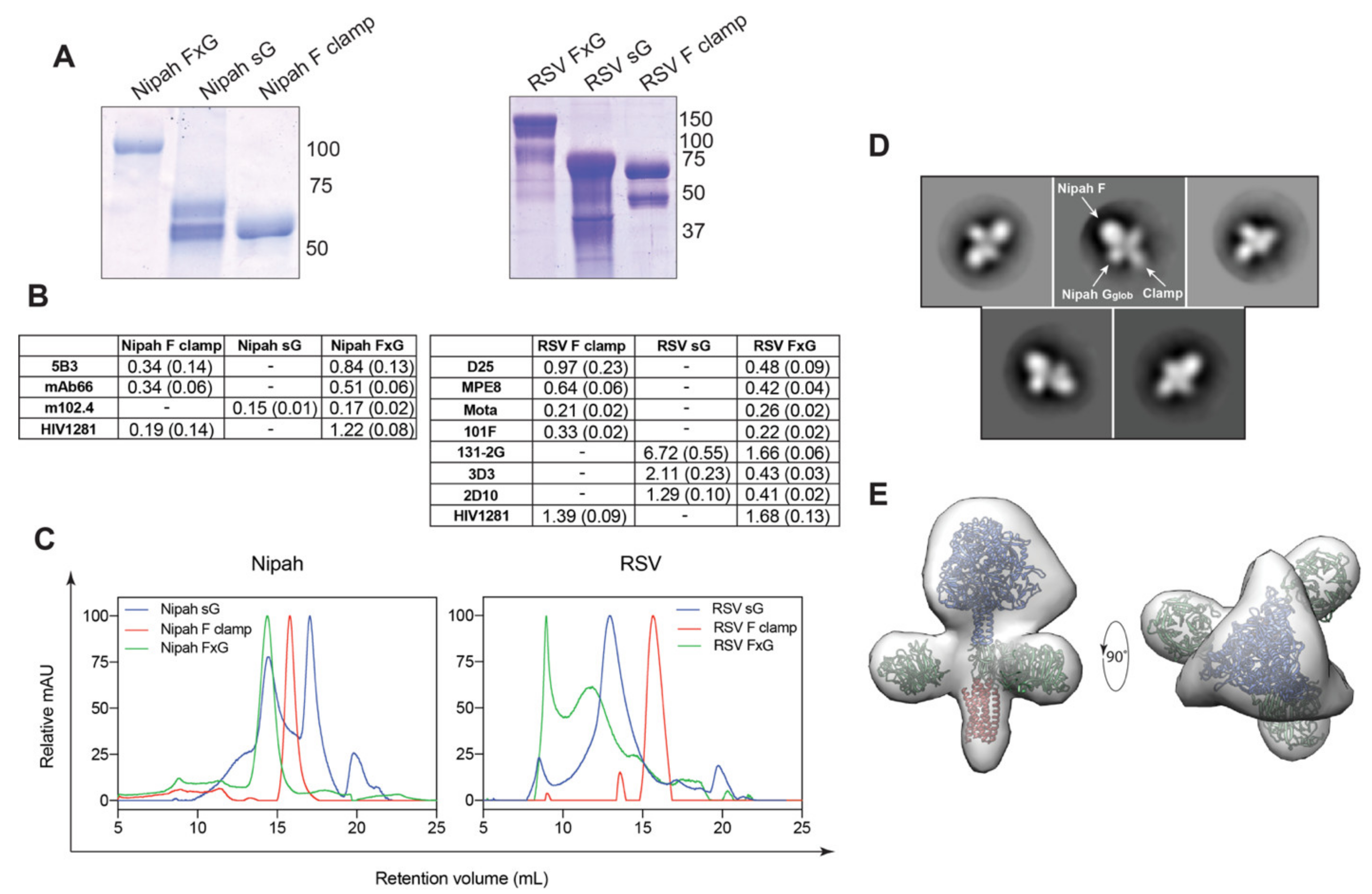 Viruses 13 01942 g002