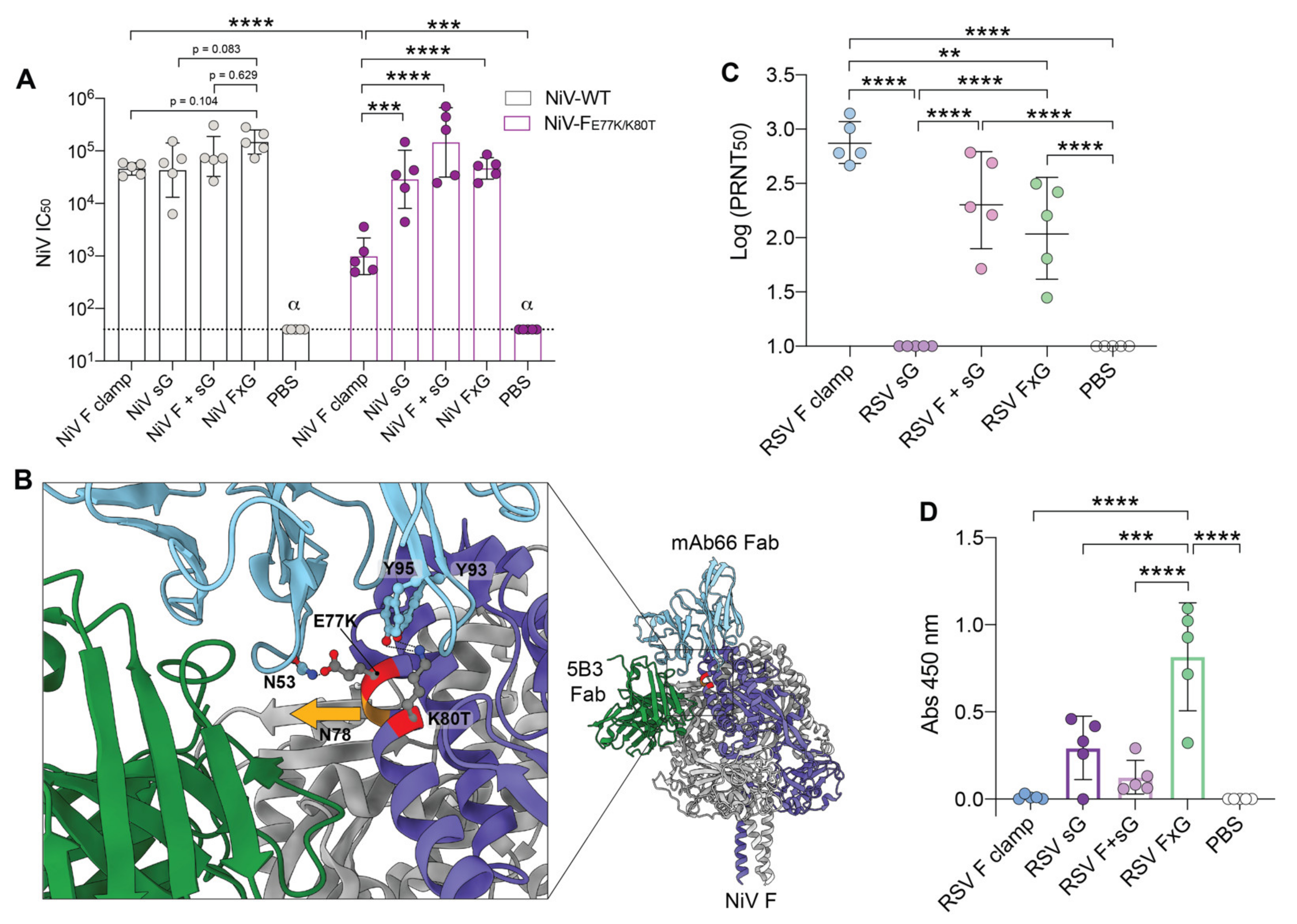 Viruses 13 01942 g004