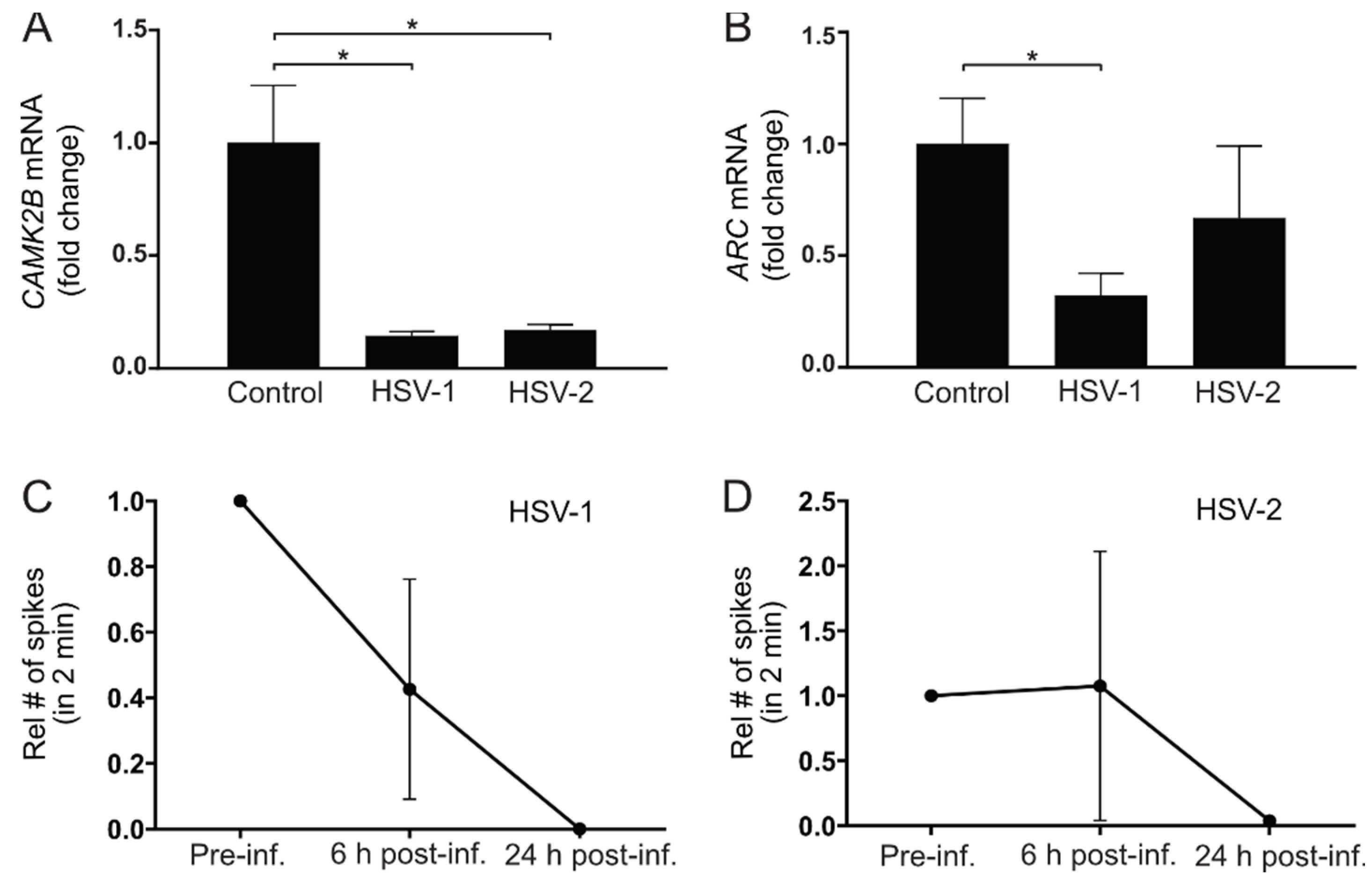 Viruses | Free Full-Text | Herpes Simplex Virus 1 and 2 Infections during  Differentiation of Human Cortical Neurons | HTML
