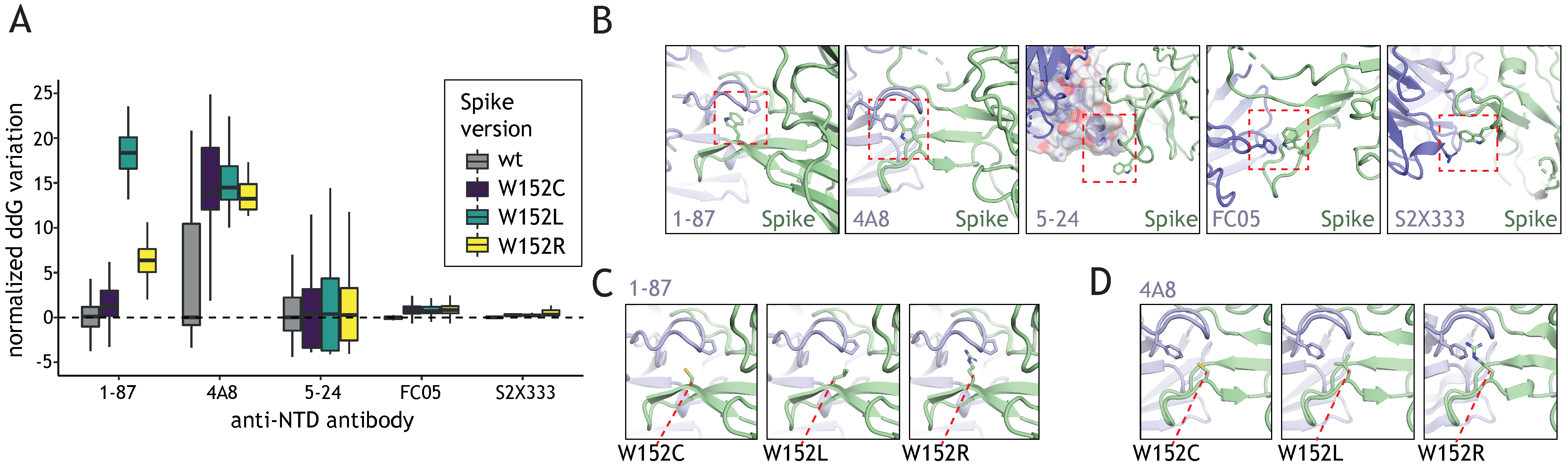 Viruses 13 02114 g003