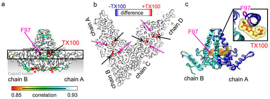 Viruses | Free Full-Text | Binding Of A Pocket Factor To Hepatitis B ...