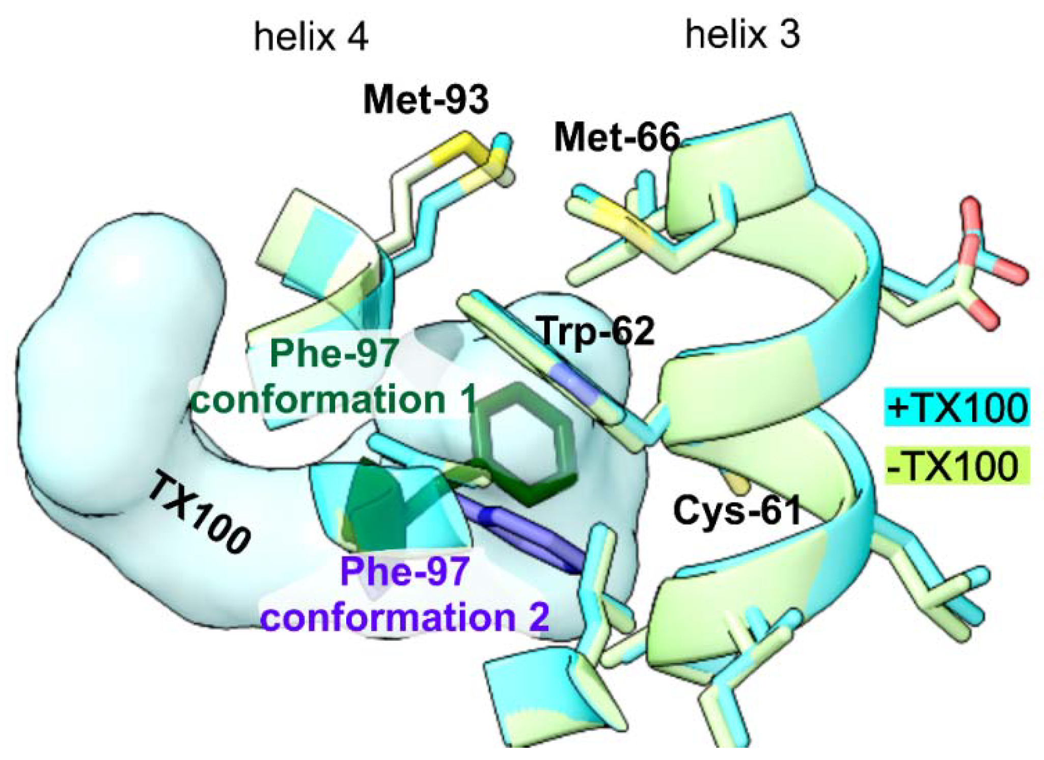 Viruses 13 02115 g005