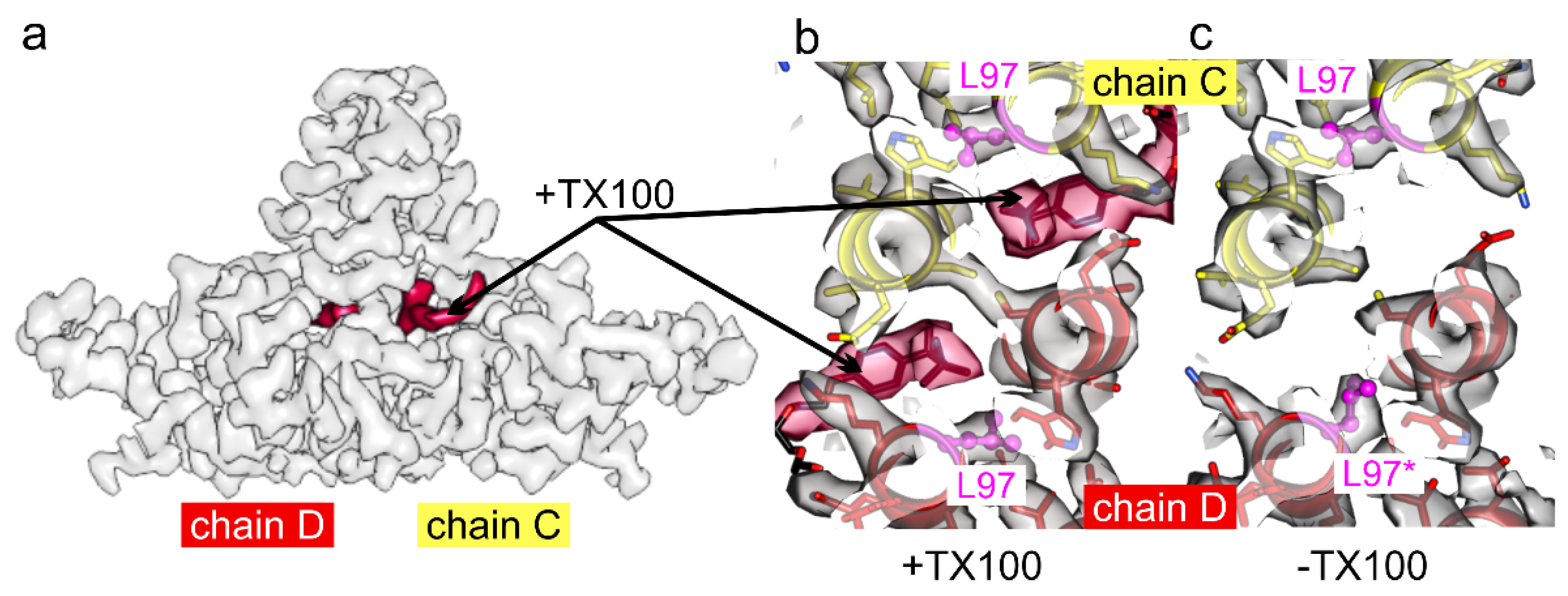 Viruses 13 02115 g006