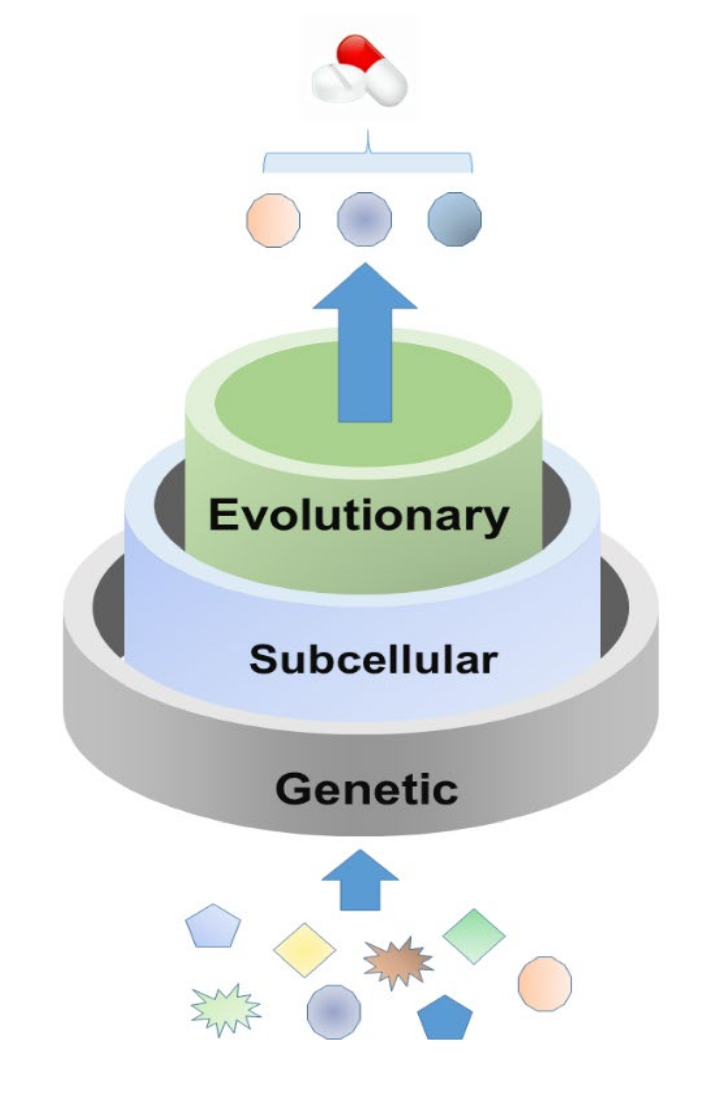 Viruses 13 02117 g002