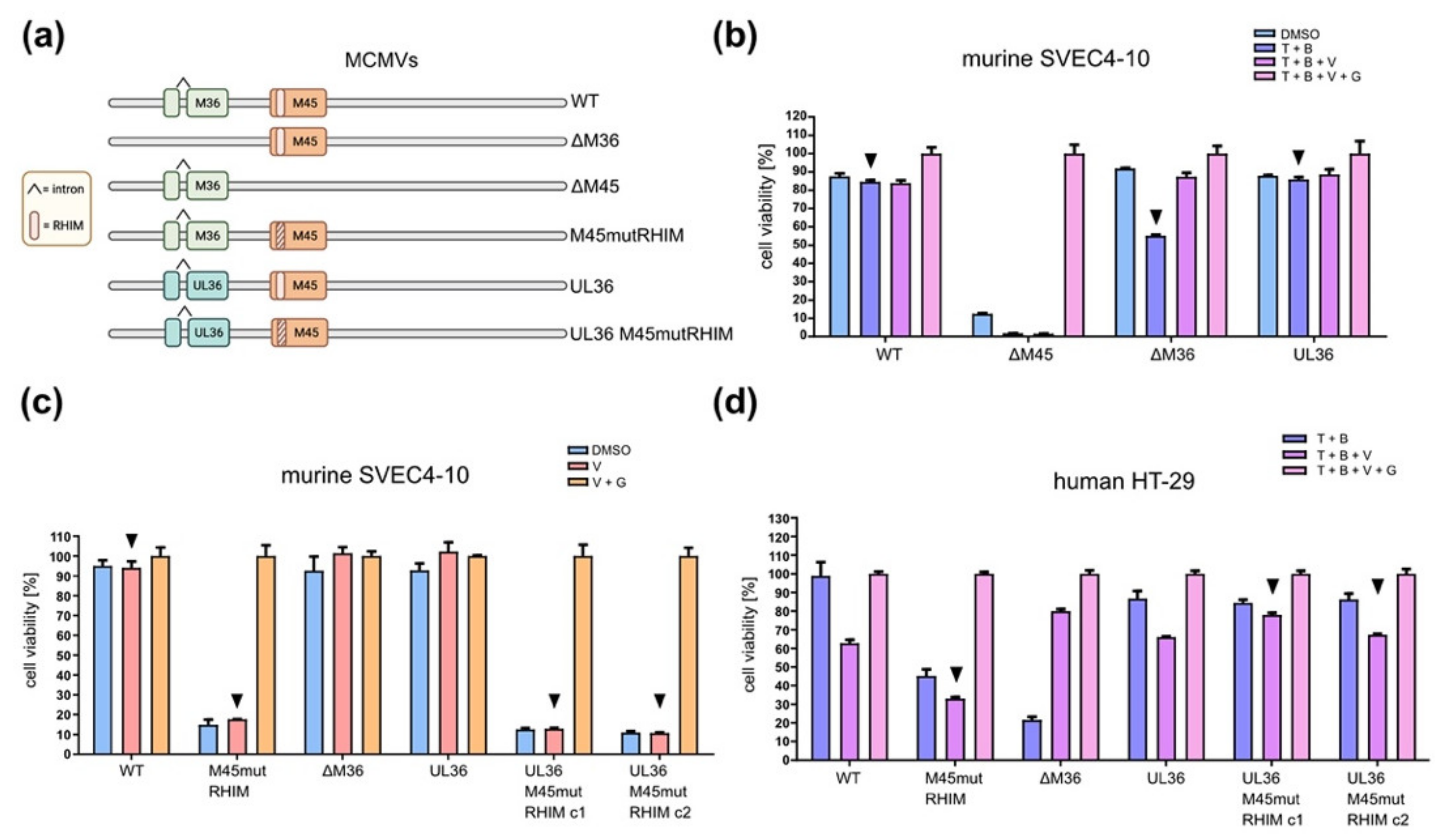Viruses 13 02134 g006 Viruses 13 02134 g006