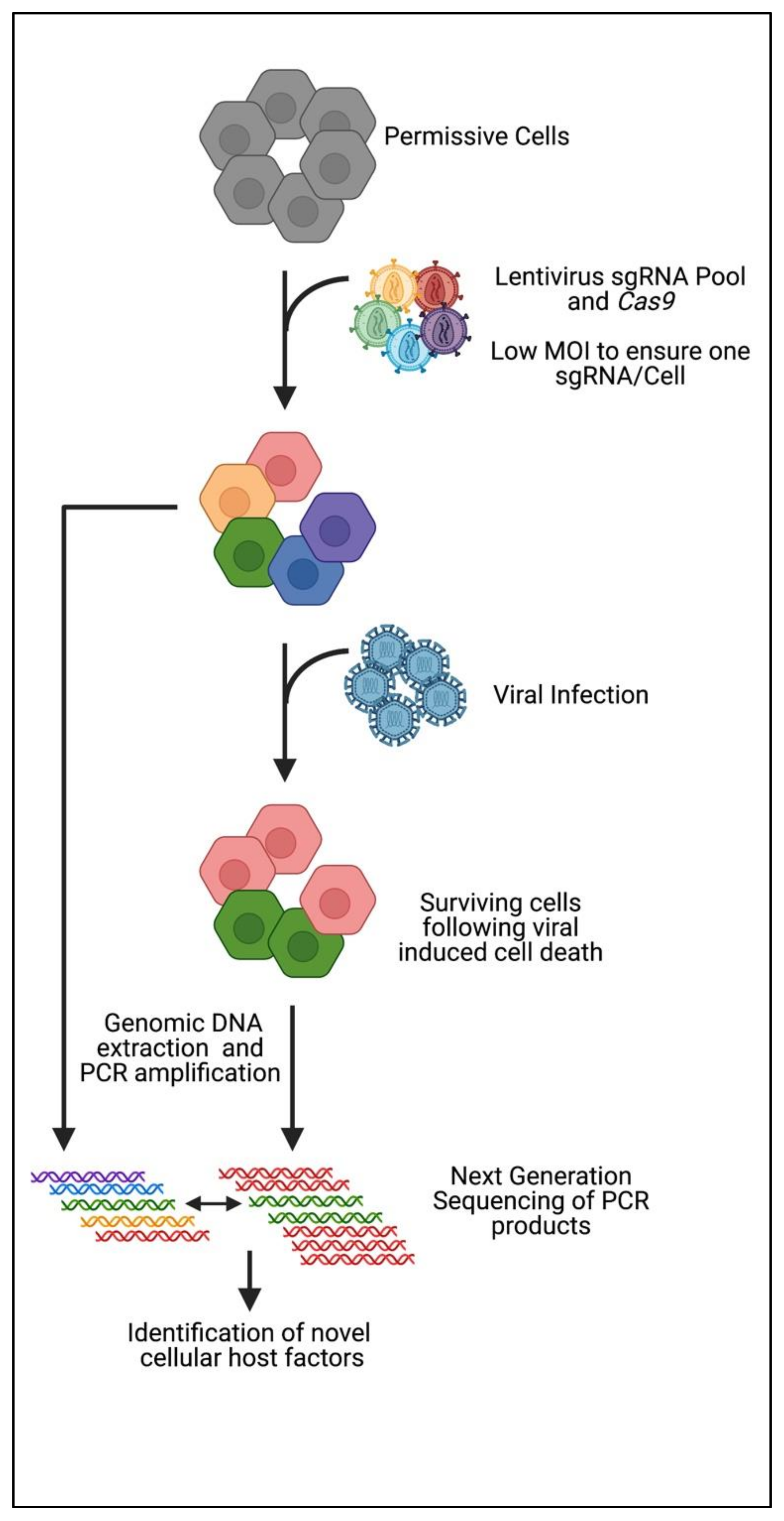 Viruses 13 02157 g001