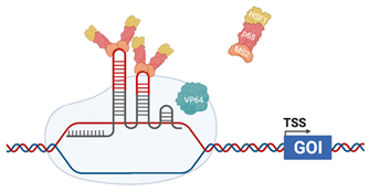 Viruses 13 02157 i005