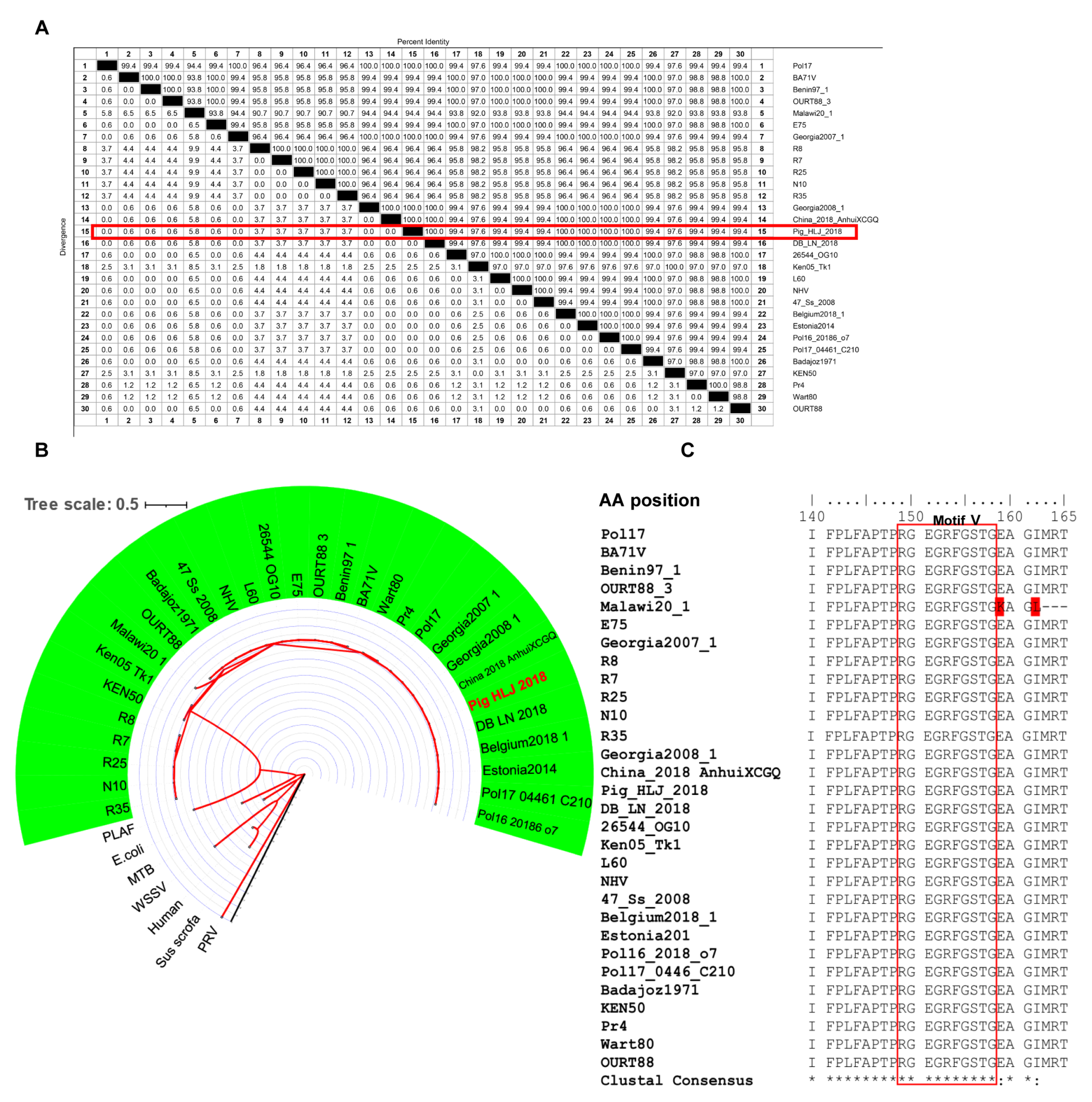 Viruses 13 02175 g004
