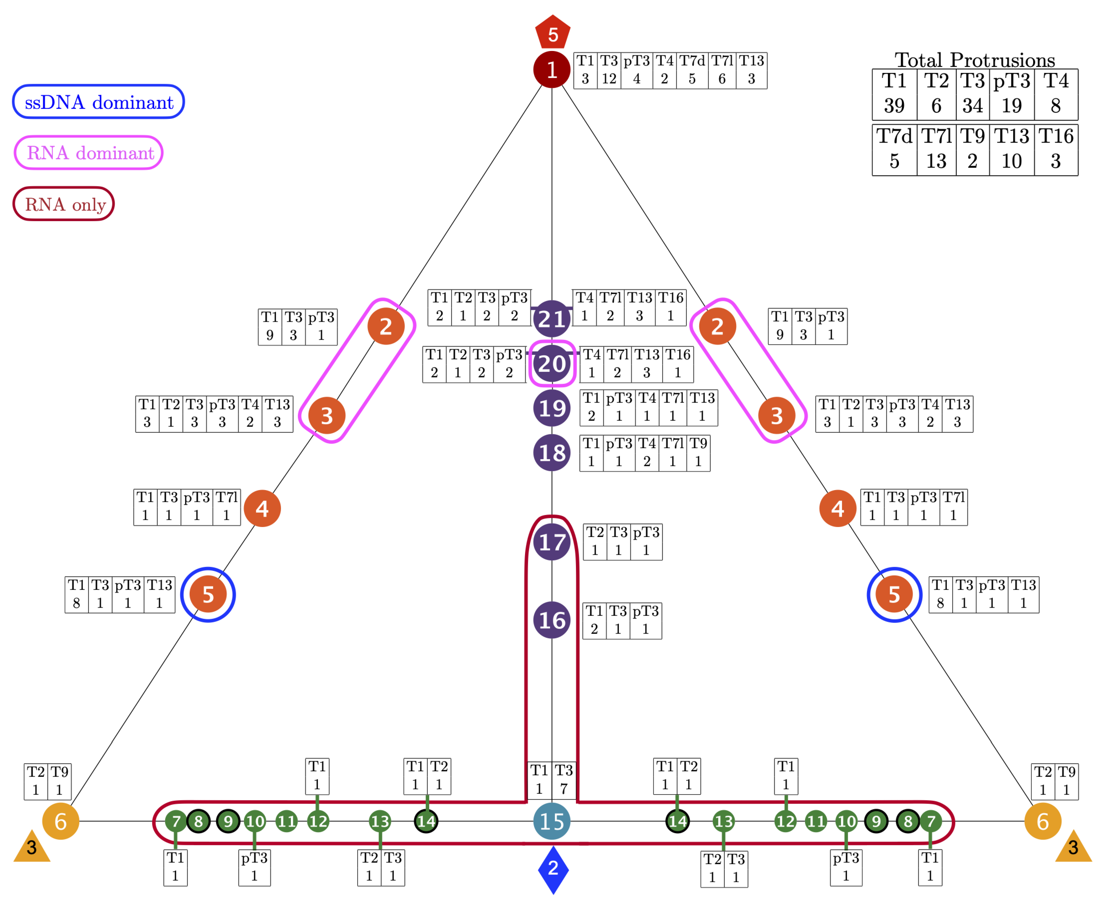 Viruses 13 02191 g005 Viruses 13 02191 g005