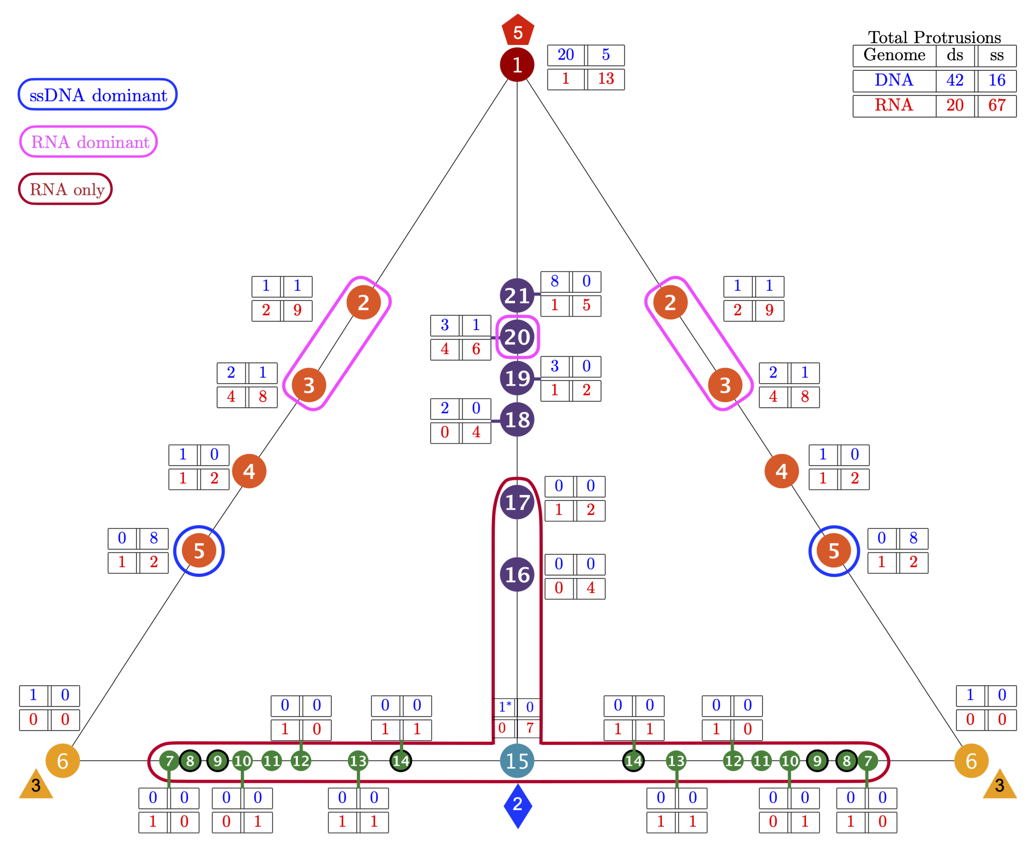 Viruses 13 02191 g006 Viruses 13 02191 g006