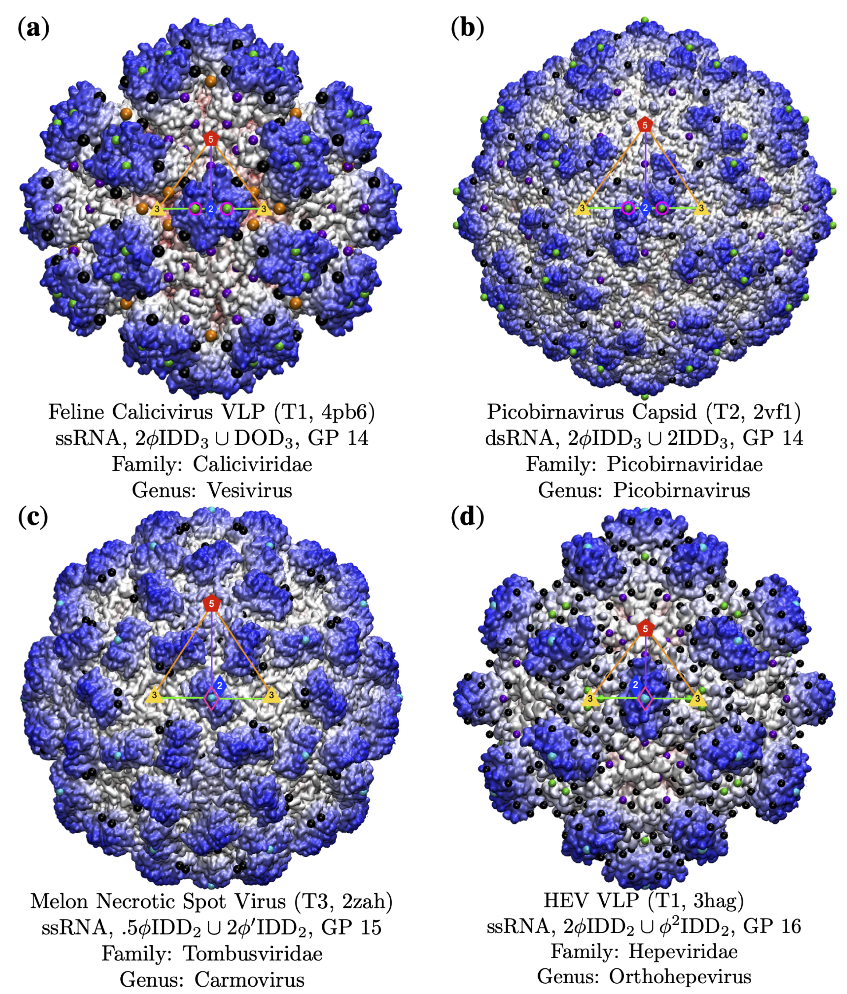 Viruses 13 02191 g010 Viruses 13 02191 g010