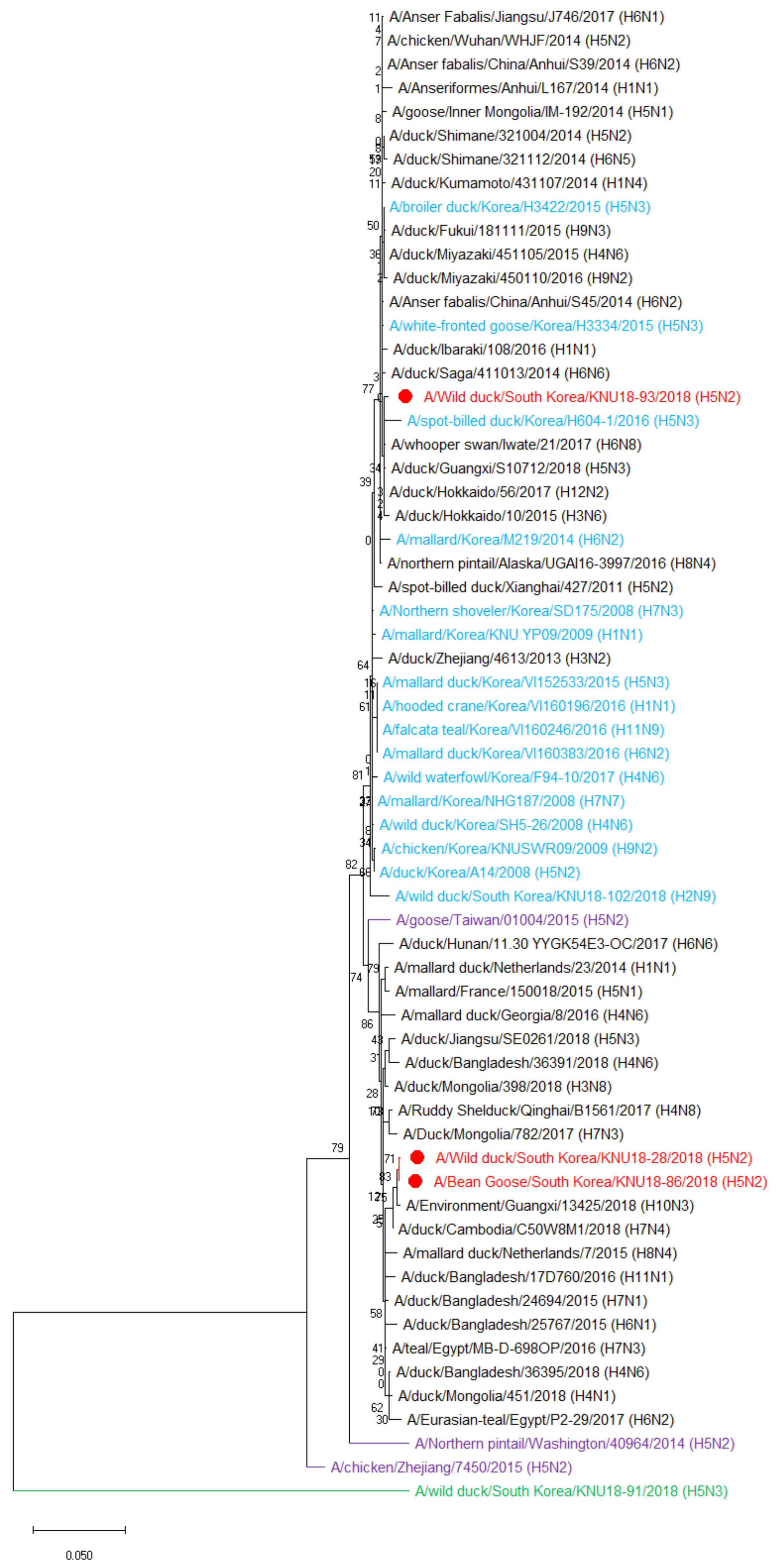 Viruses 13 02192 g002