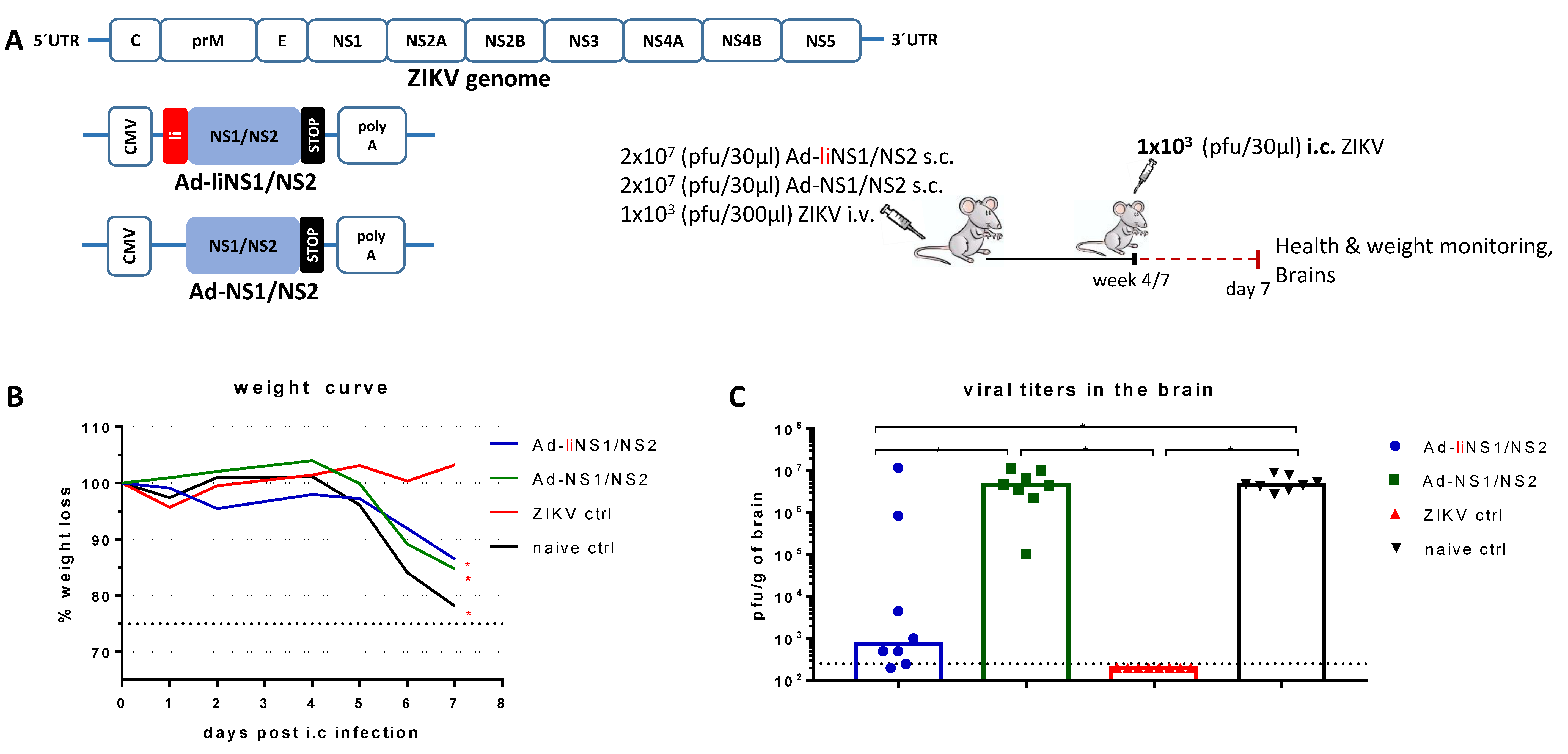 Viruses 13 02215 g001