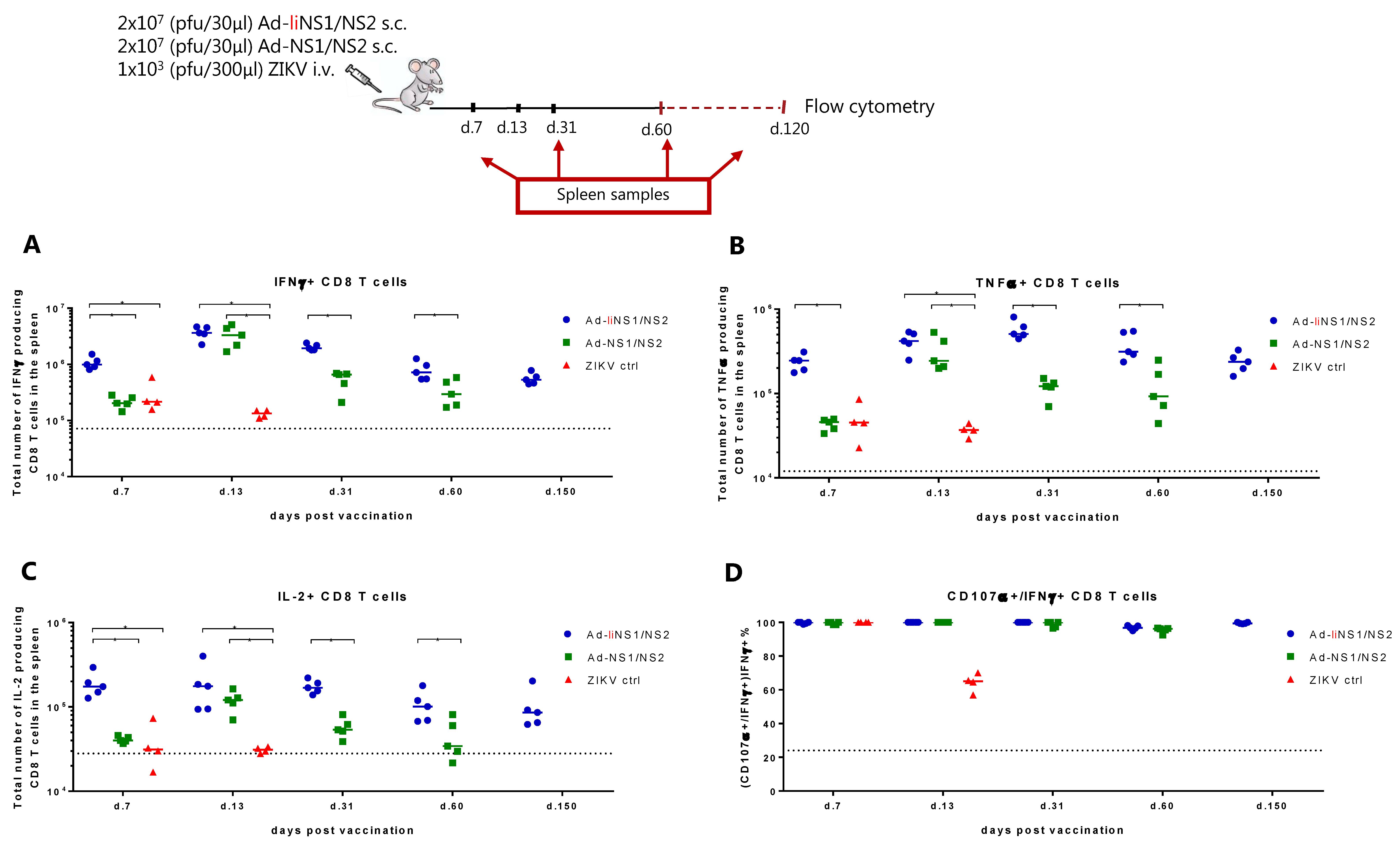 Viruses 13 02215 g003