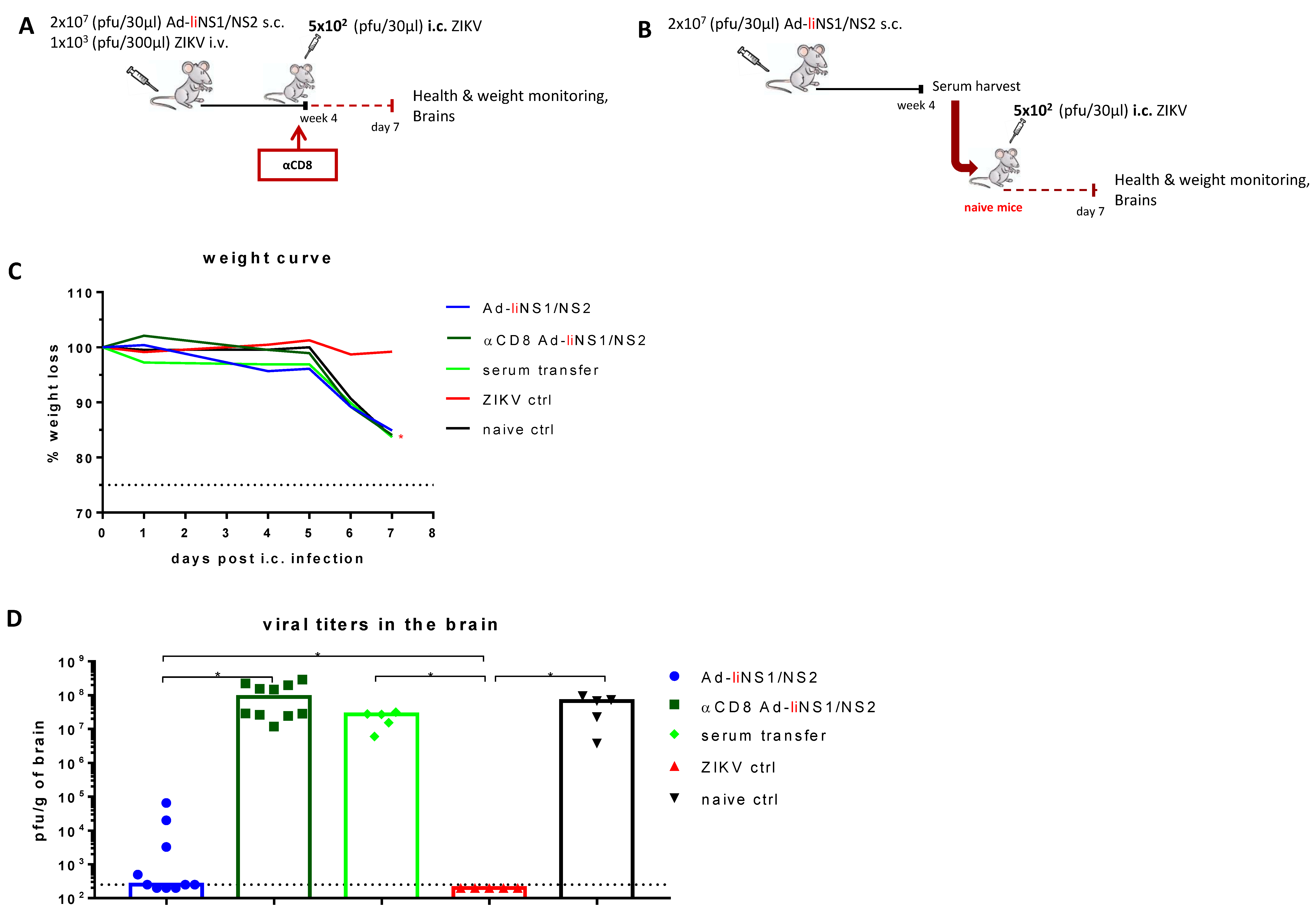 Viruses 13 02215 g005