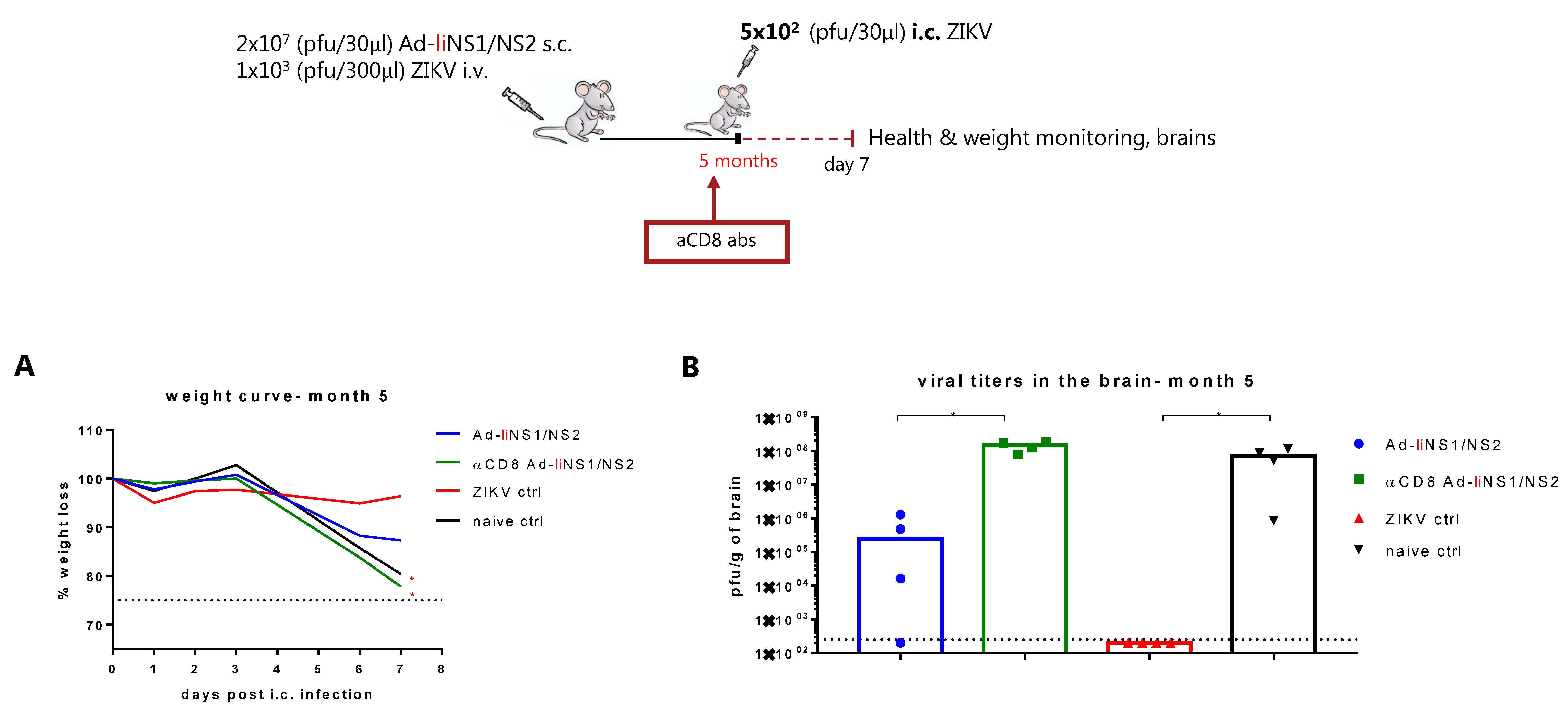 Viruses 13 02215 g006