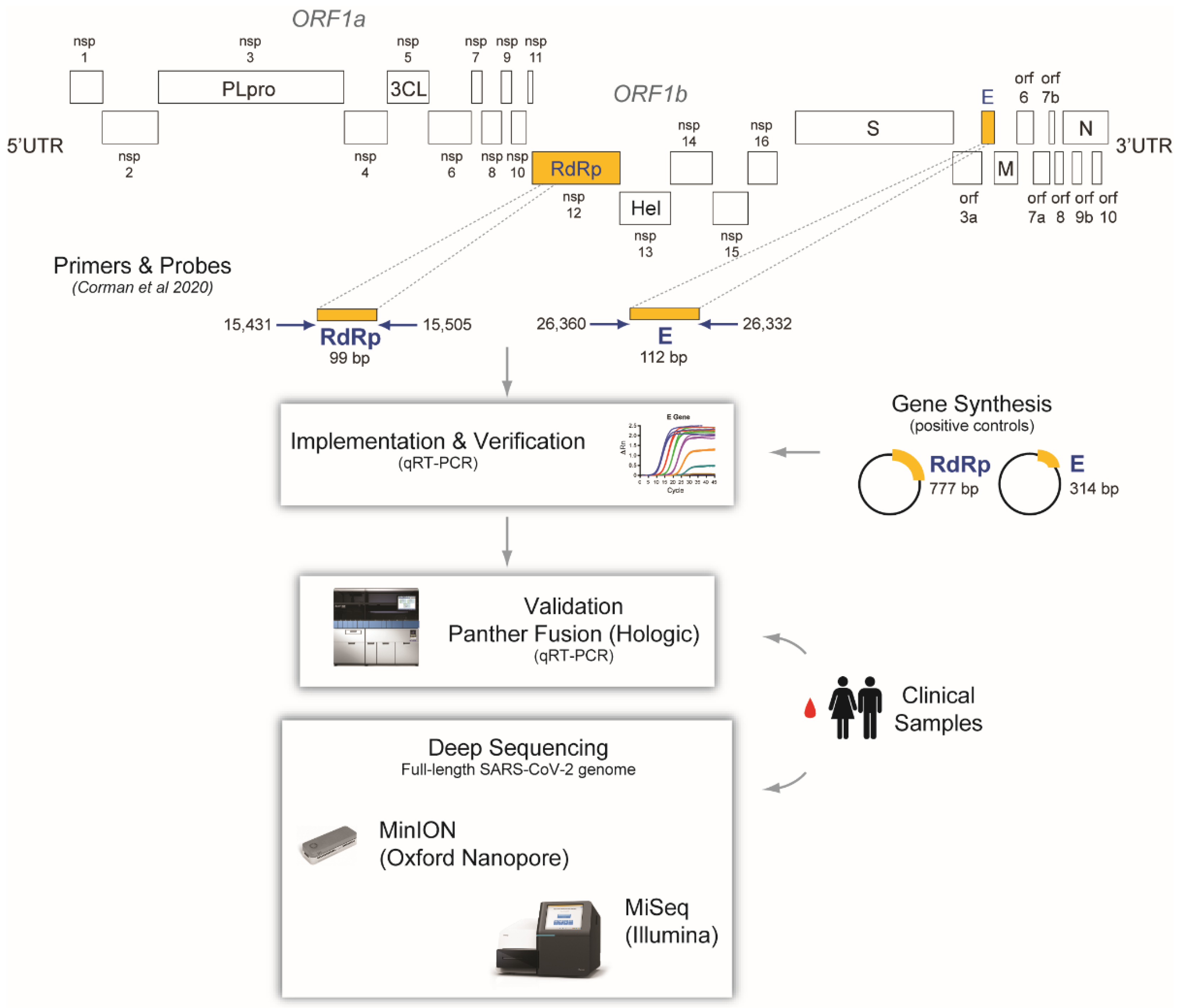 qScript Ultra Flex cDNA Kit, First-Strand cDNA Synthesis Kit