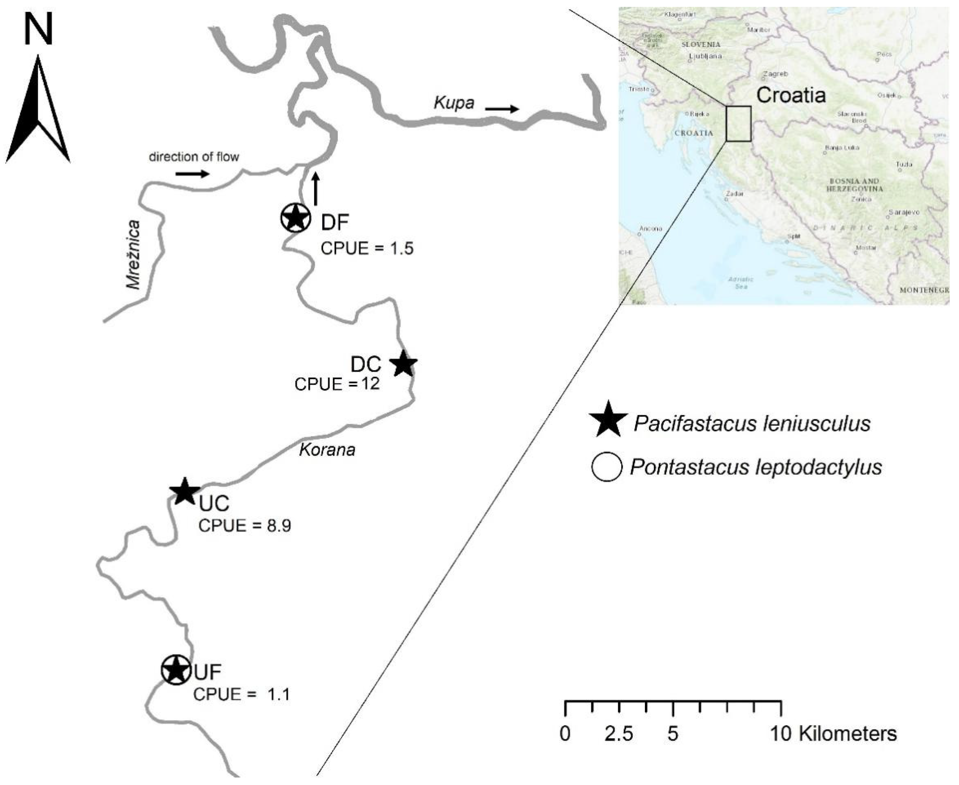 Viruses | Free Full-Text | Virome Analysis of Signal Crayfish (Pacifastacus  leniusculus) along Its Invasion Range Reveals Diverse and Divergent RNA  Viruses