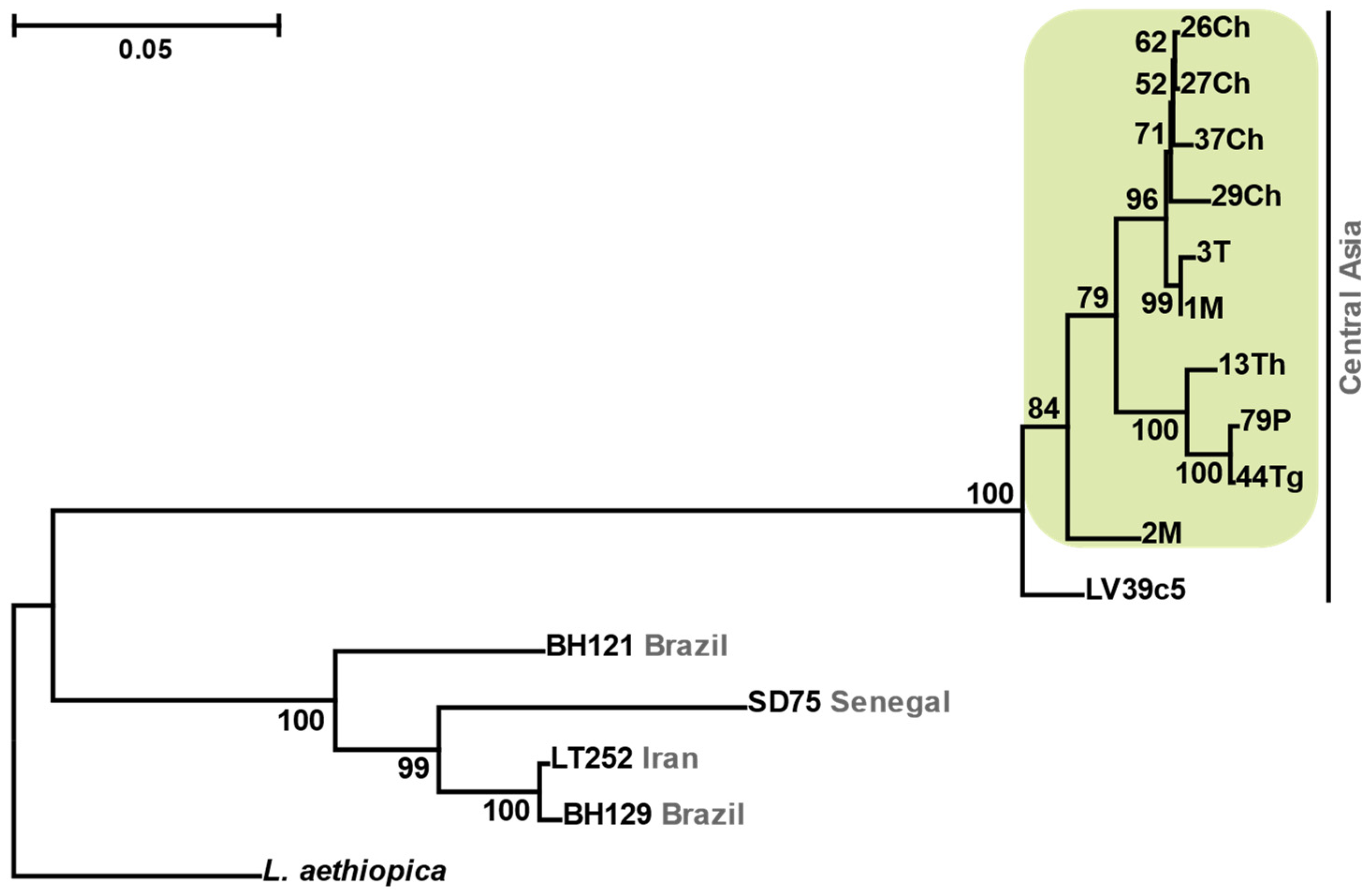 Viruses 13 02305 g001 Viruses 13 02305 g001