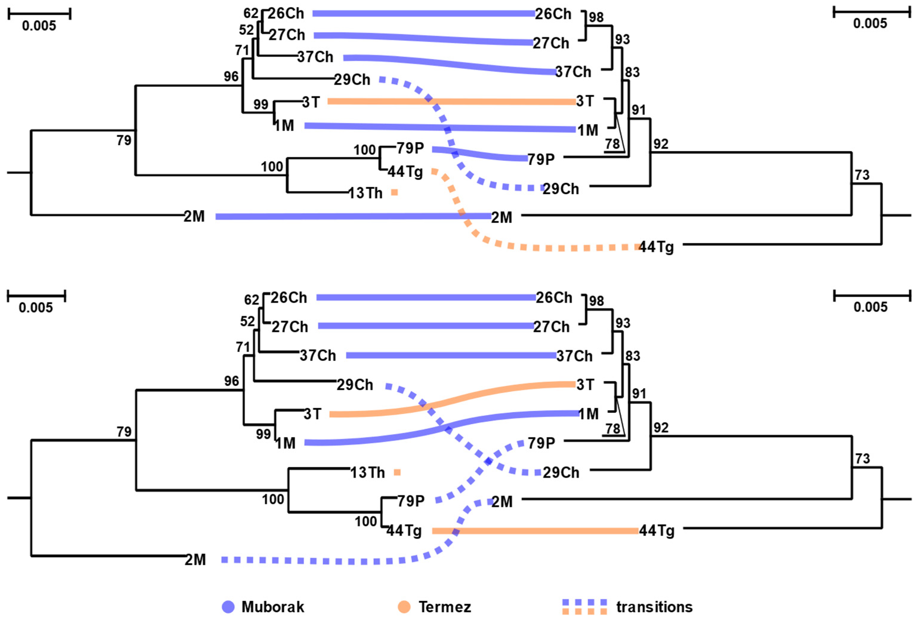 Viruses 13 02305 g003 Viruses 13 02305 g003