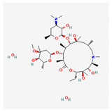 Viruses 13 02306 i008