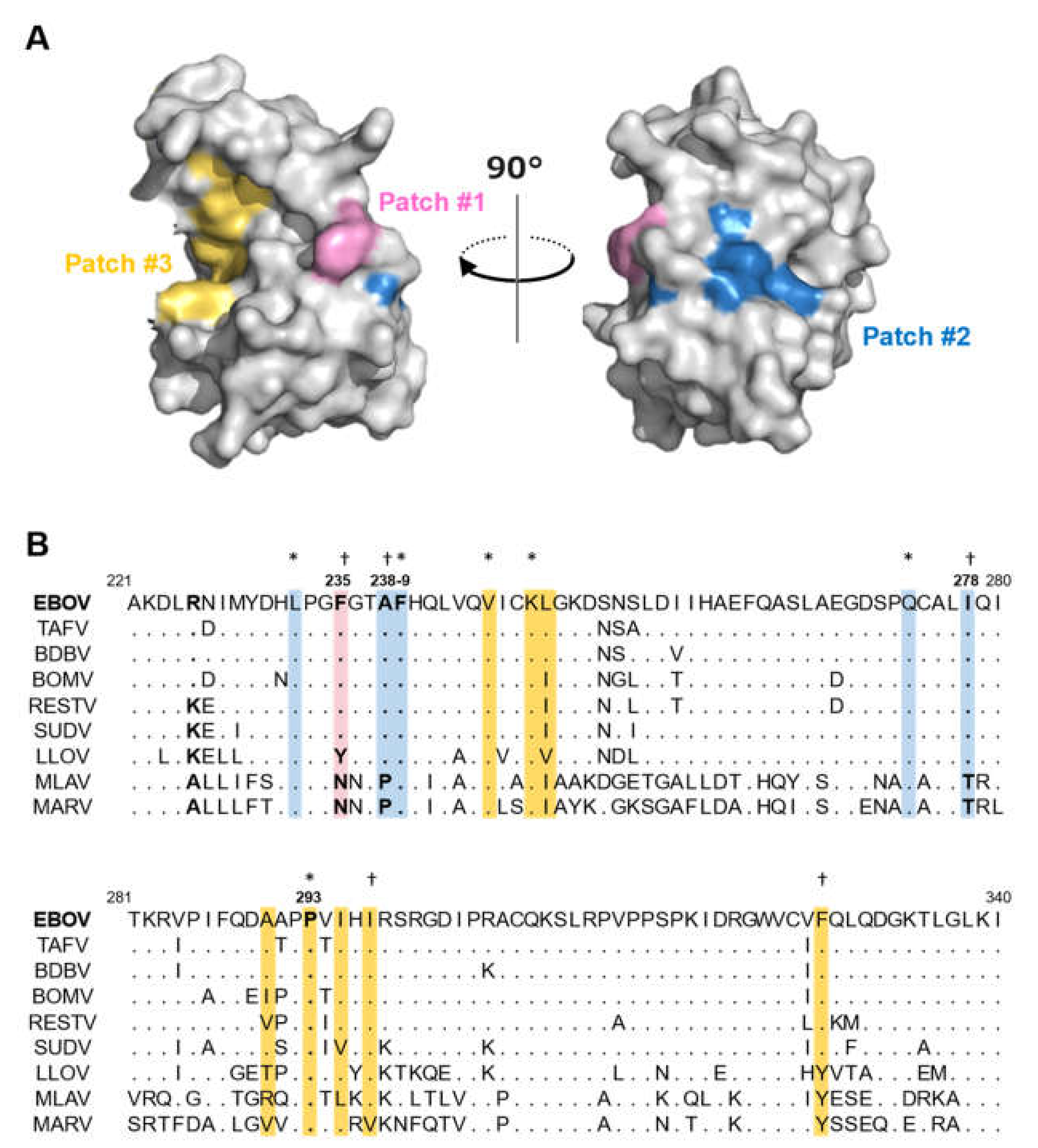 Viruses 13 02316 g001