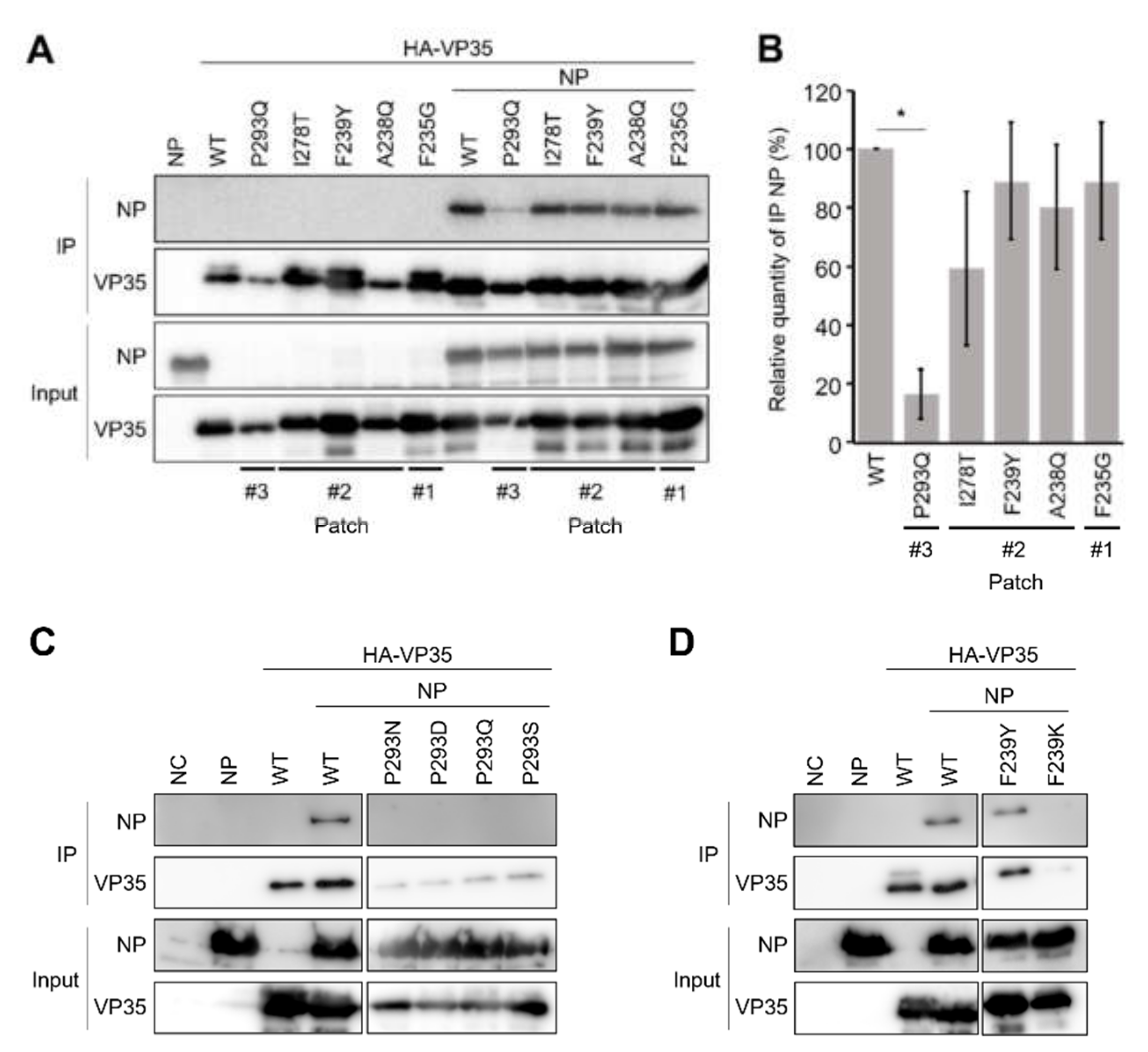 Viruses 13 02316 g003
