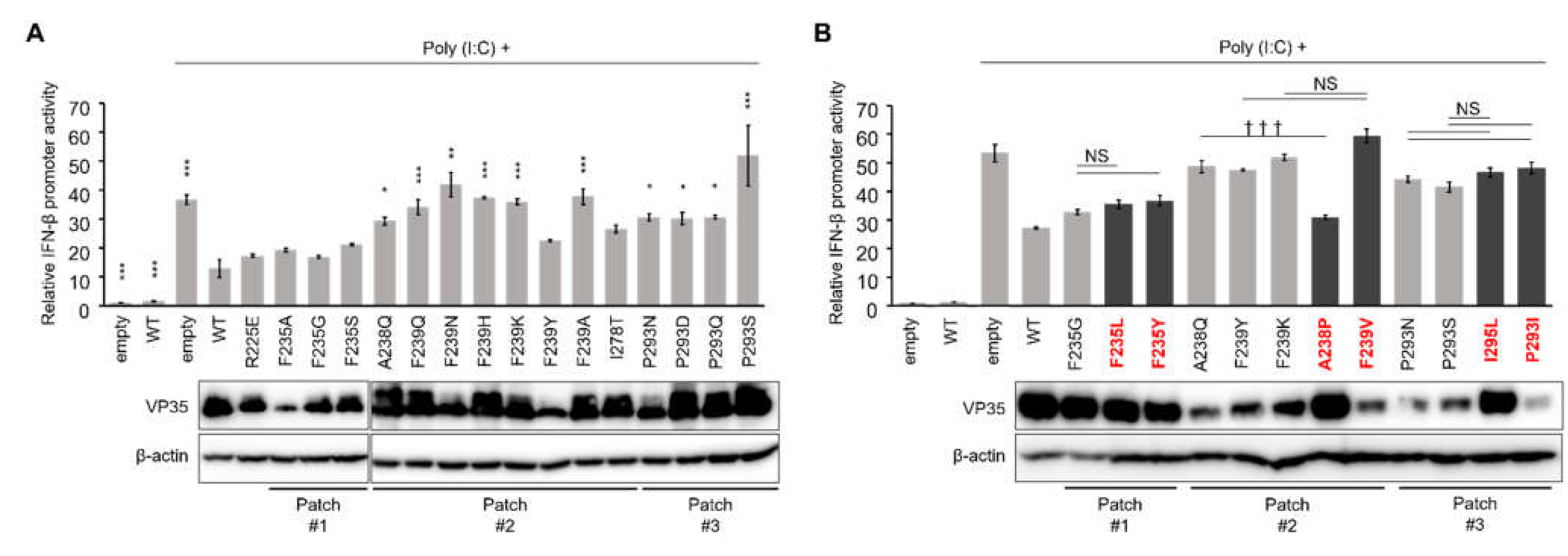 Viruses 13 02316 g004