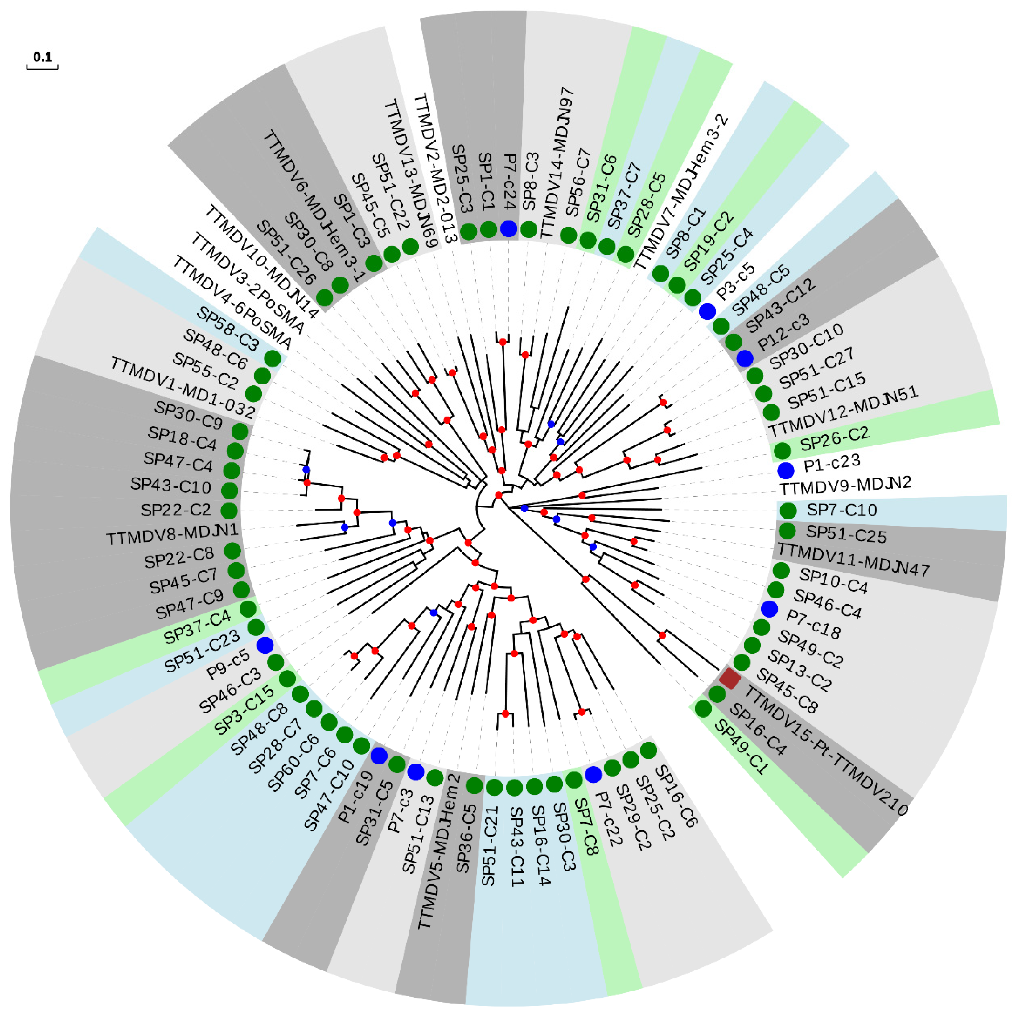 Integrative assessment of the transcriptome and virome of the