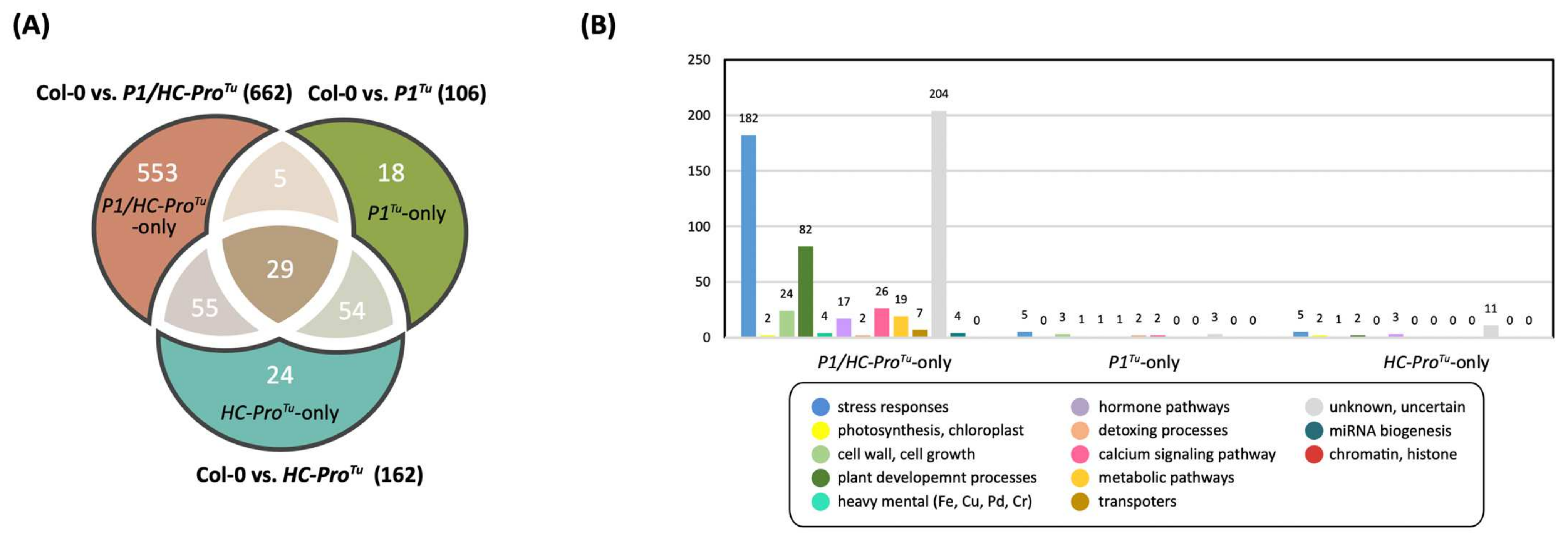 https://www.mdpi.com/viruses/viruses-13-02349/article_deploy/html/images/viruses-13-02349-g001.png