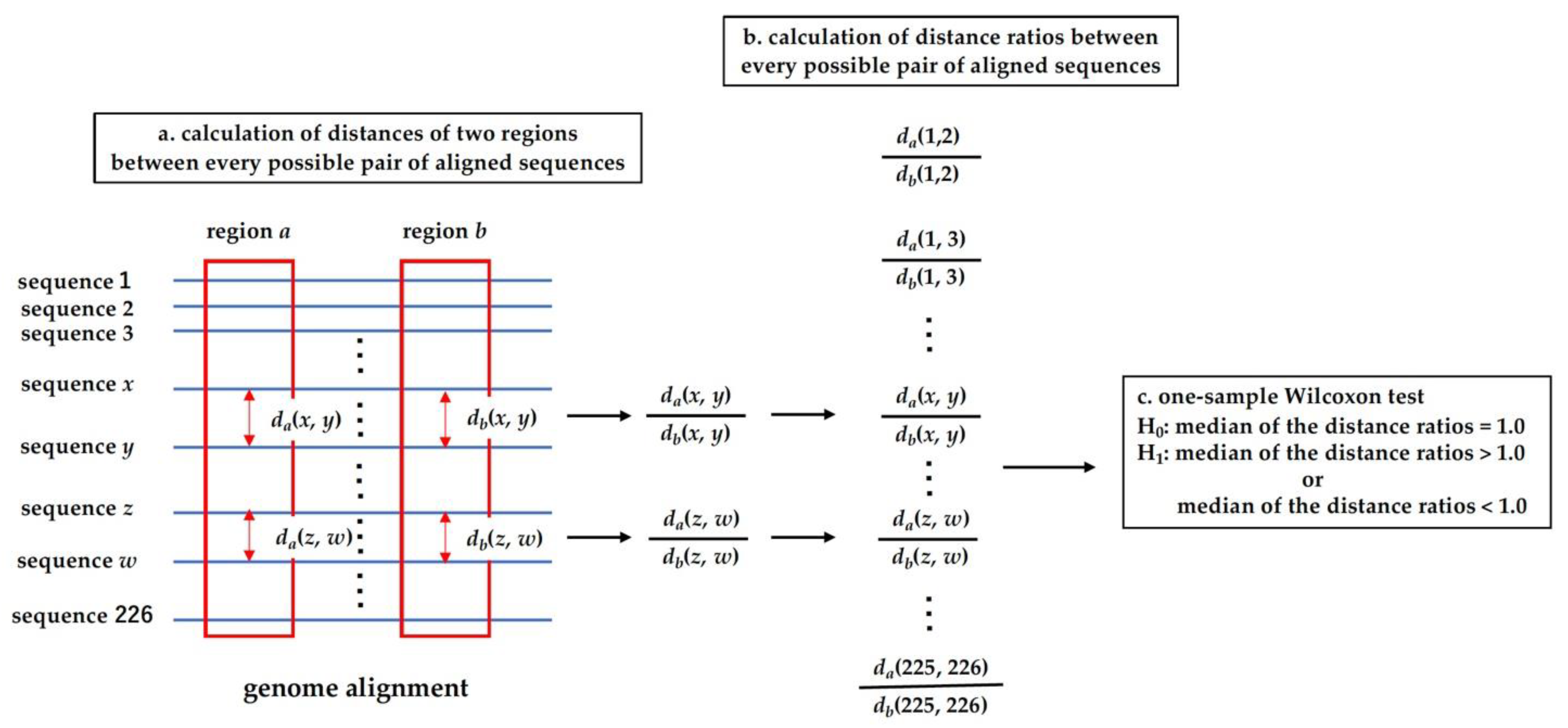Viruses 13 02350 g002