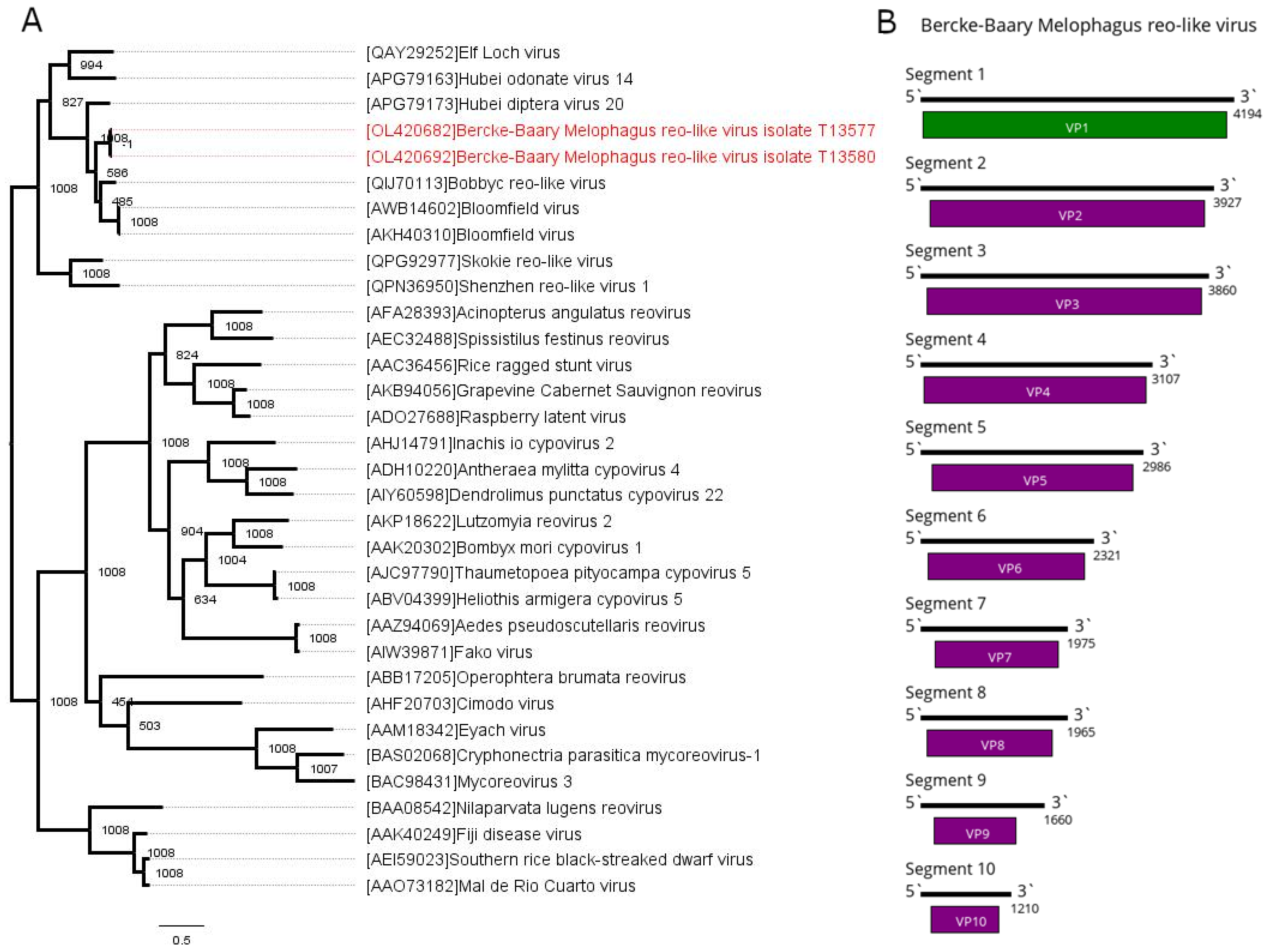Viruses 13 02375 g004
