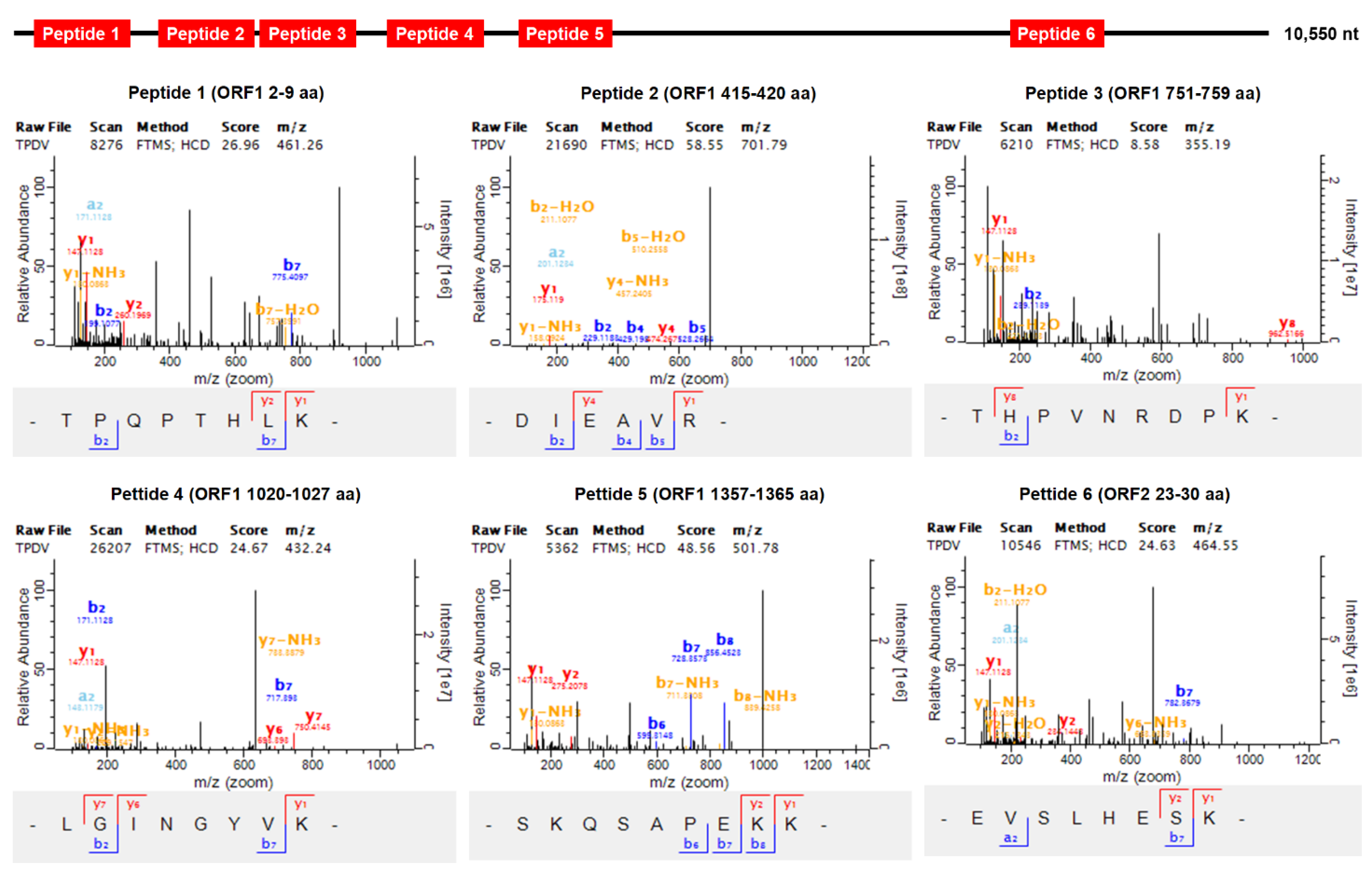 Viruses 13 02381 g003