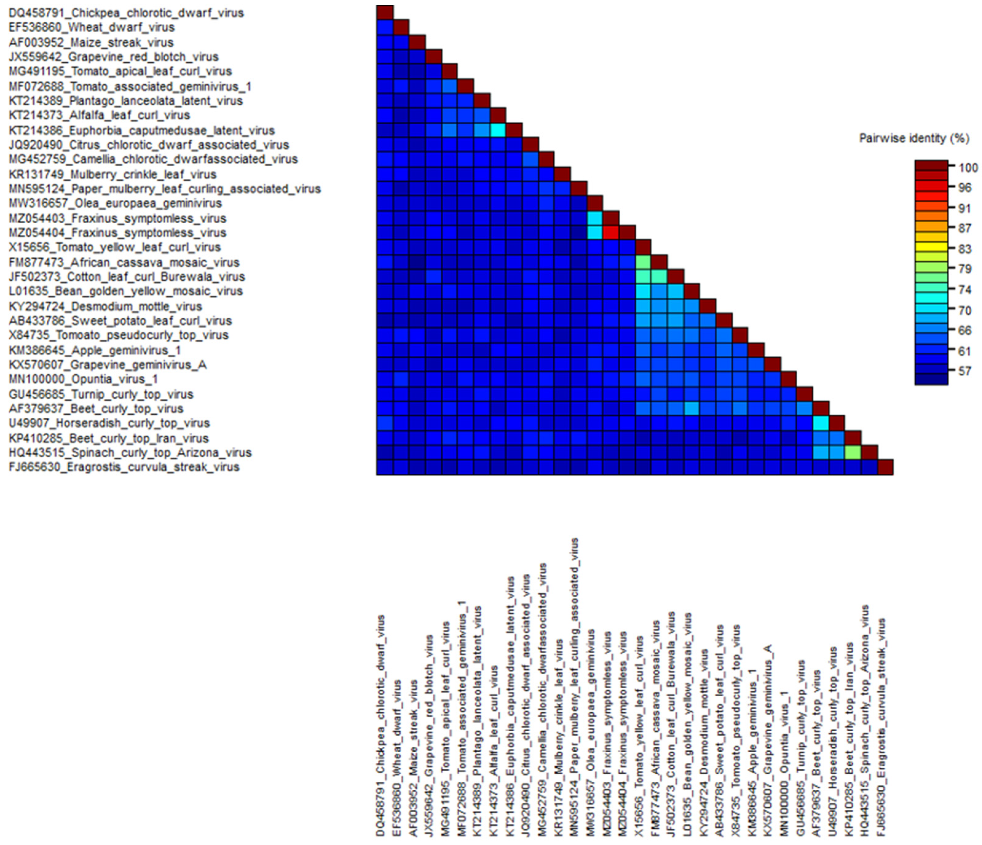 Viruses 13 02385 g005