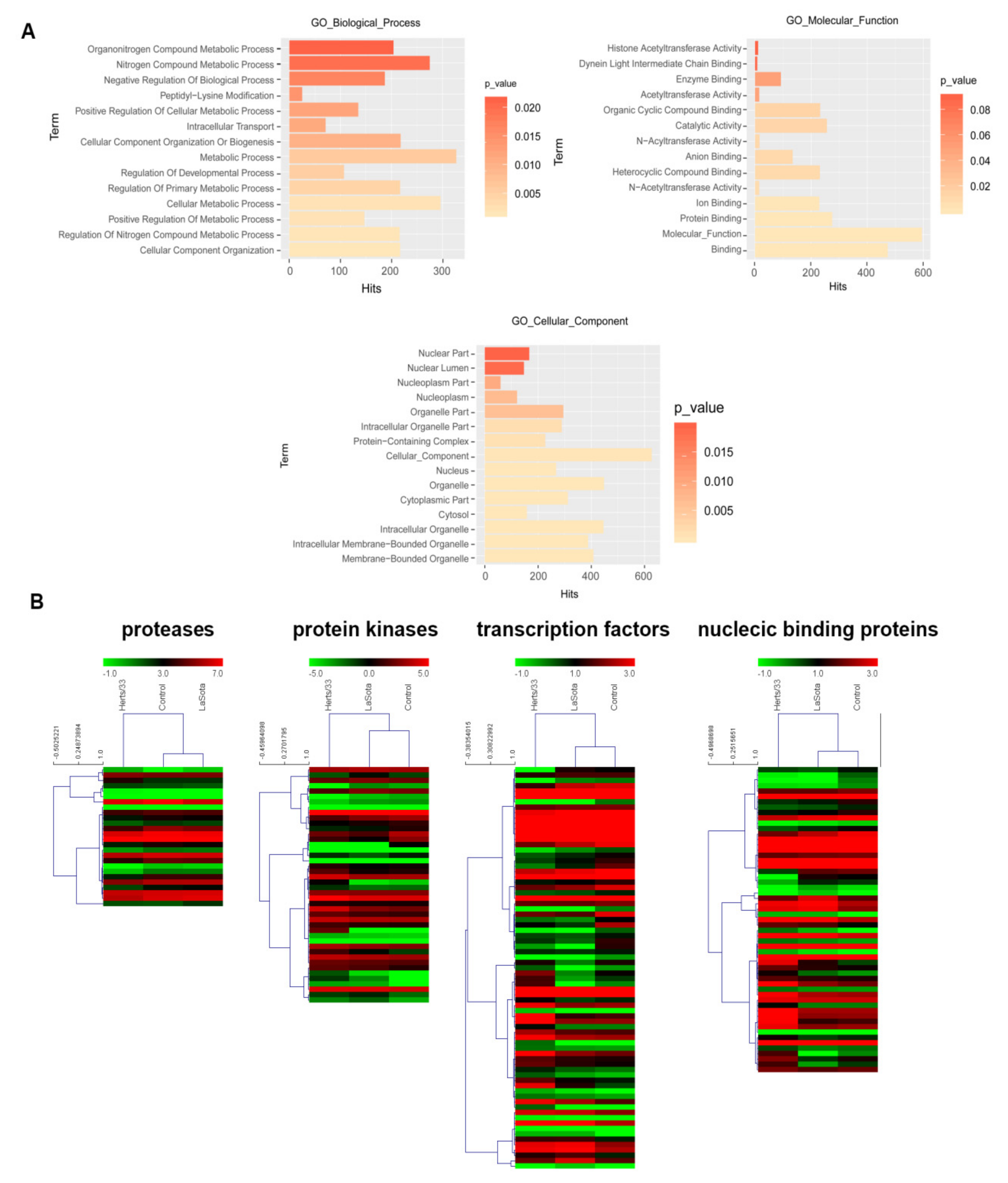 Viruses 13 02409 g004