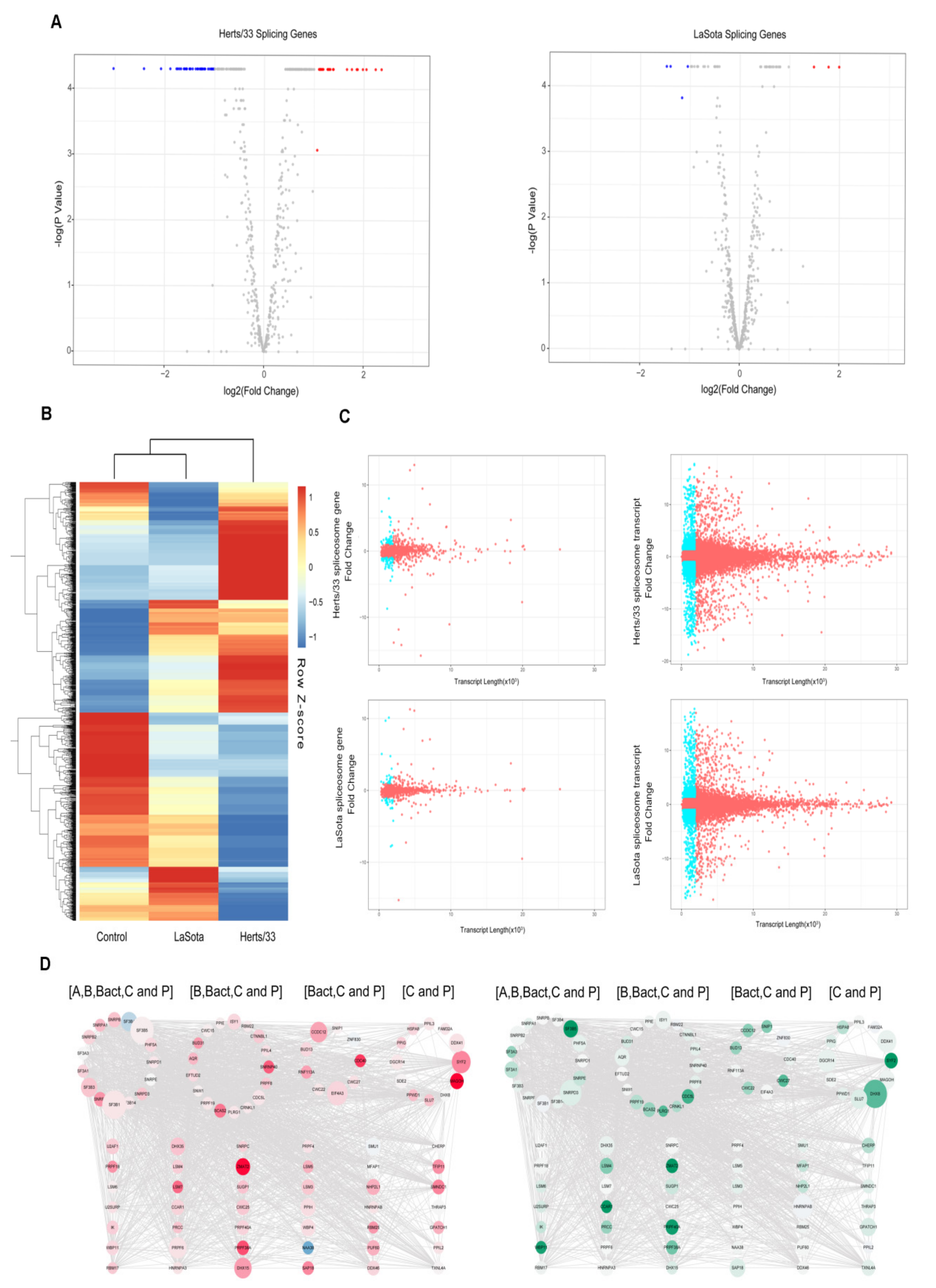Viruses 13 02409 g006