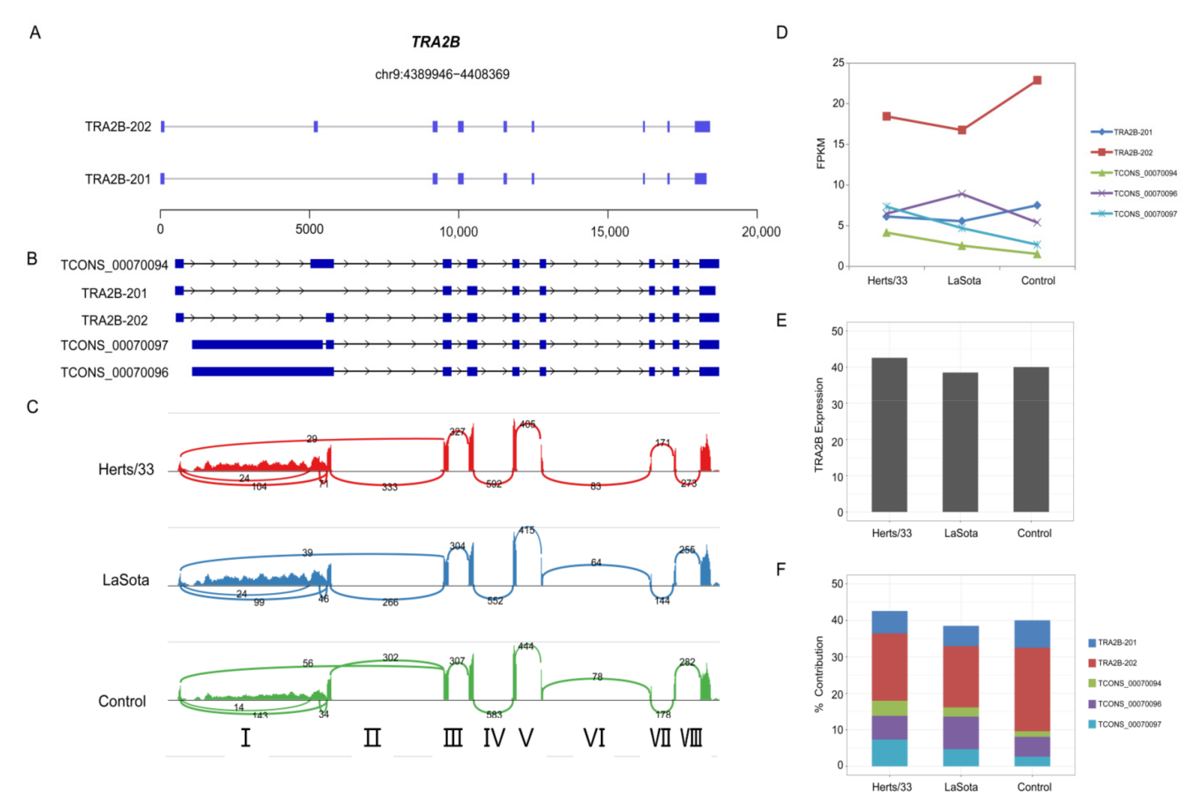 Viruses 13 02409 g007