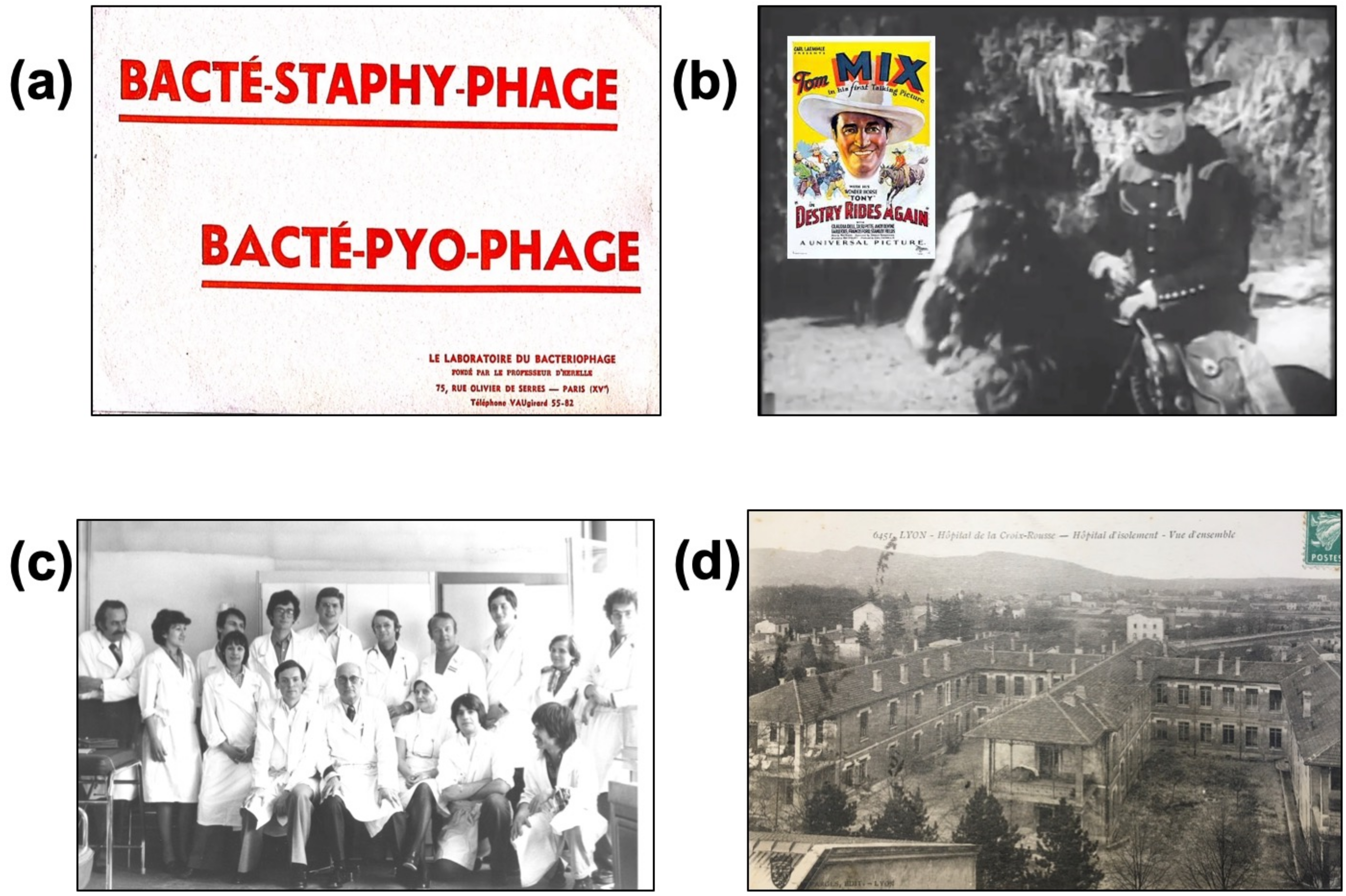 Viruses 13 02414 g002