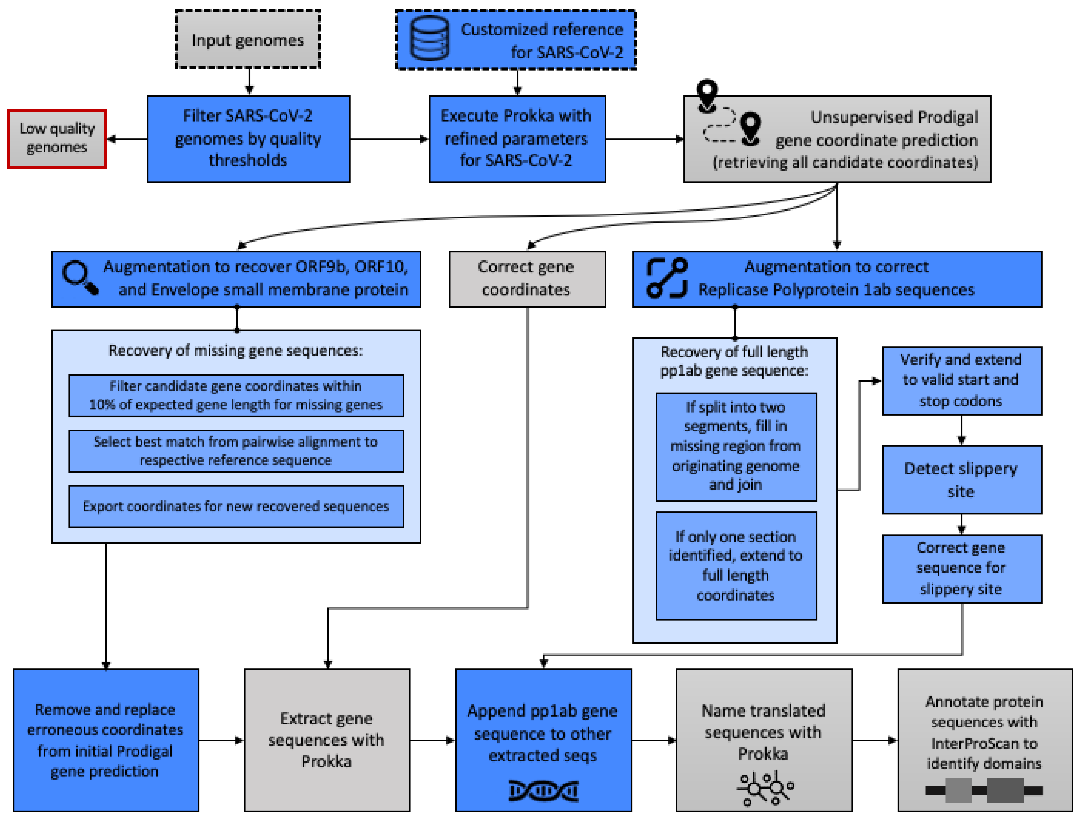 Viruses 13 02426 g001