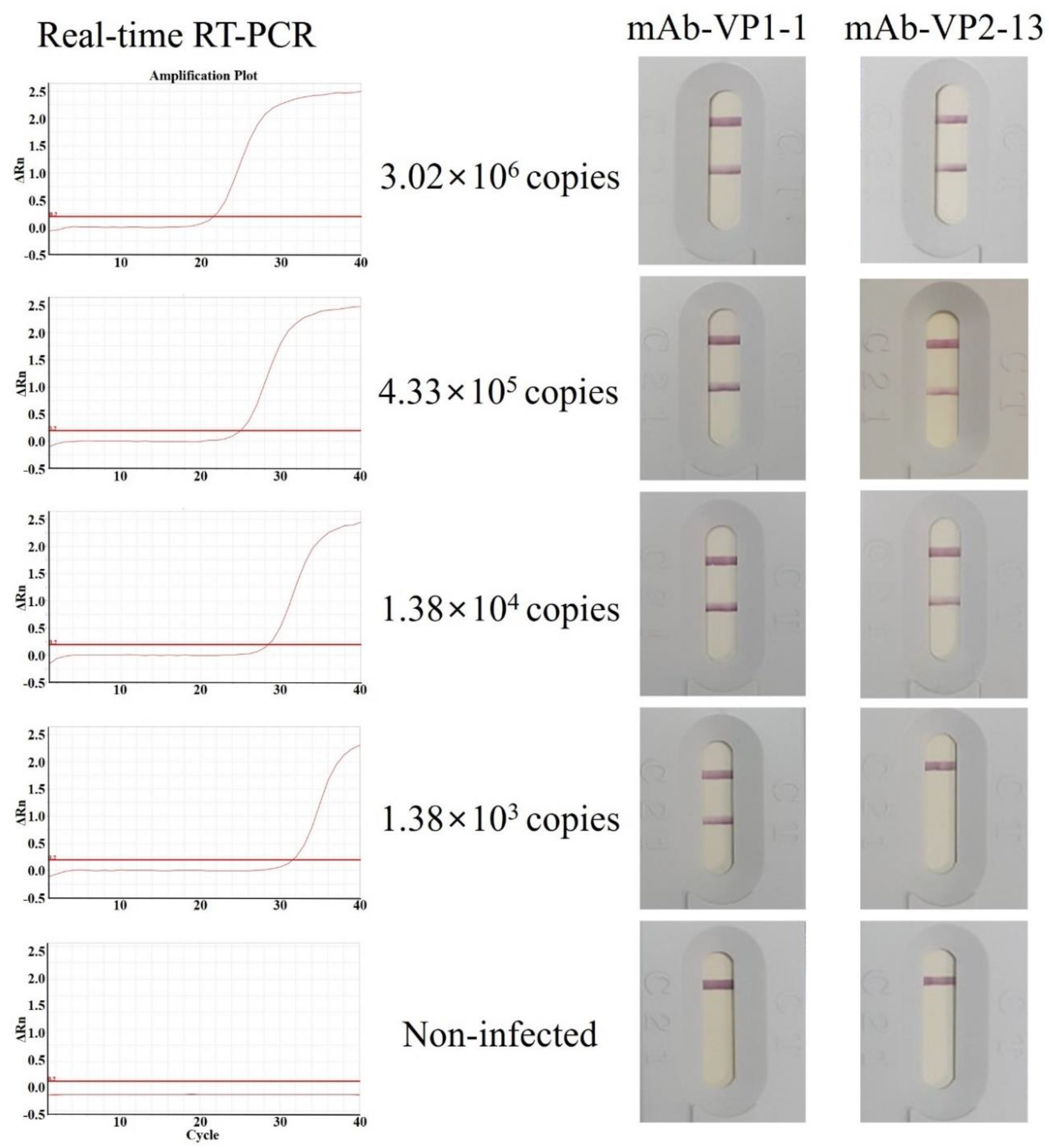 Viruses 13 02439 g005