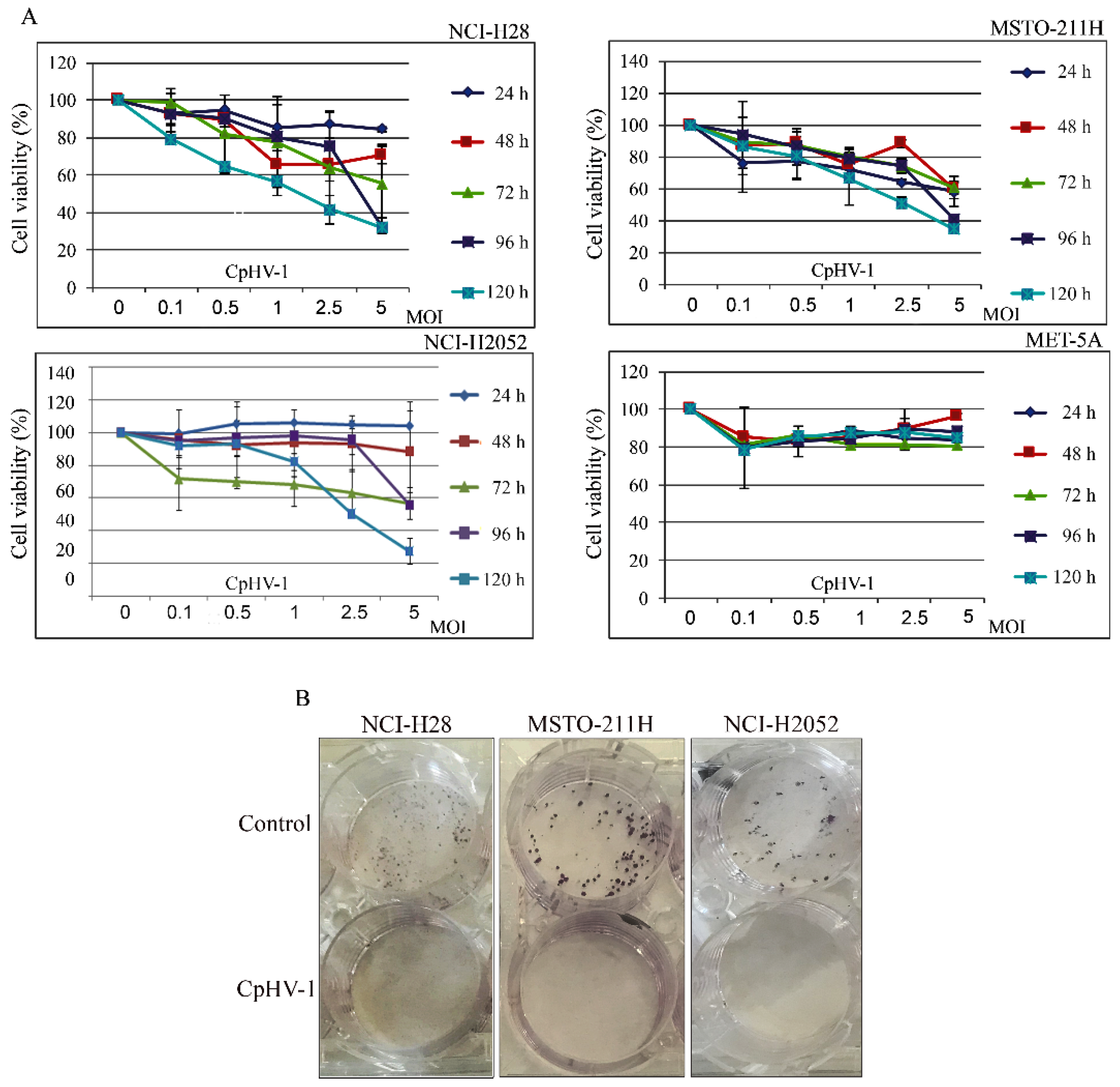 Viruses 13 02458 g001