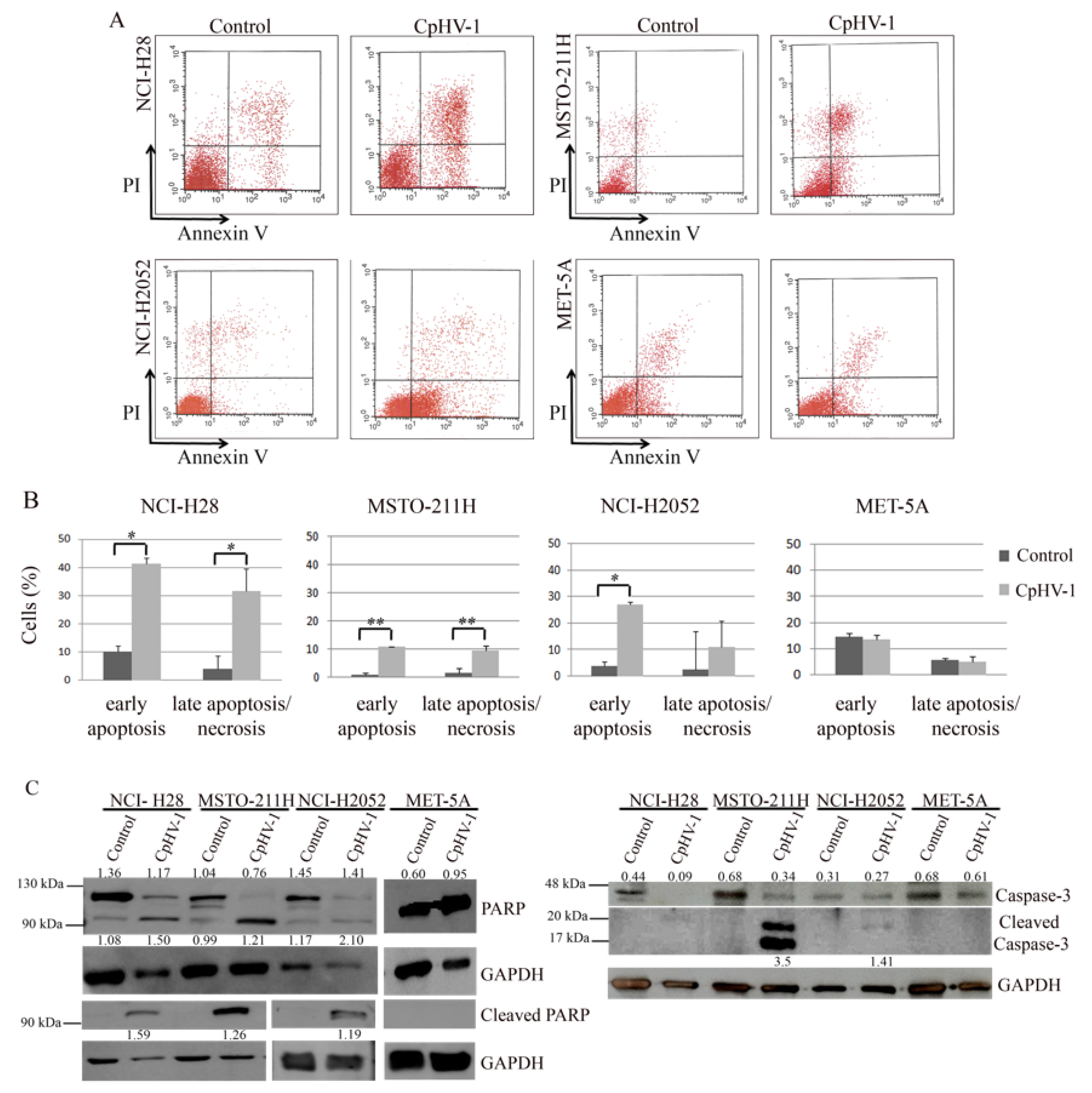 Viruses 13 02458 g002
