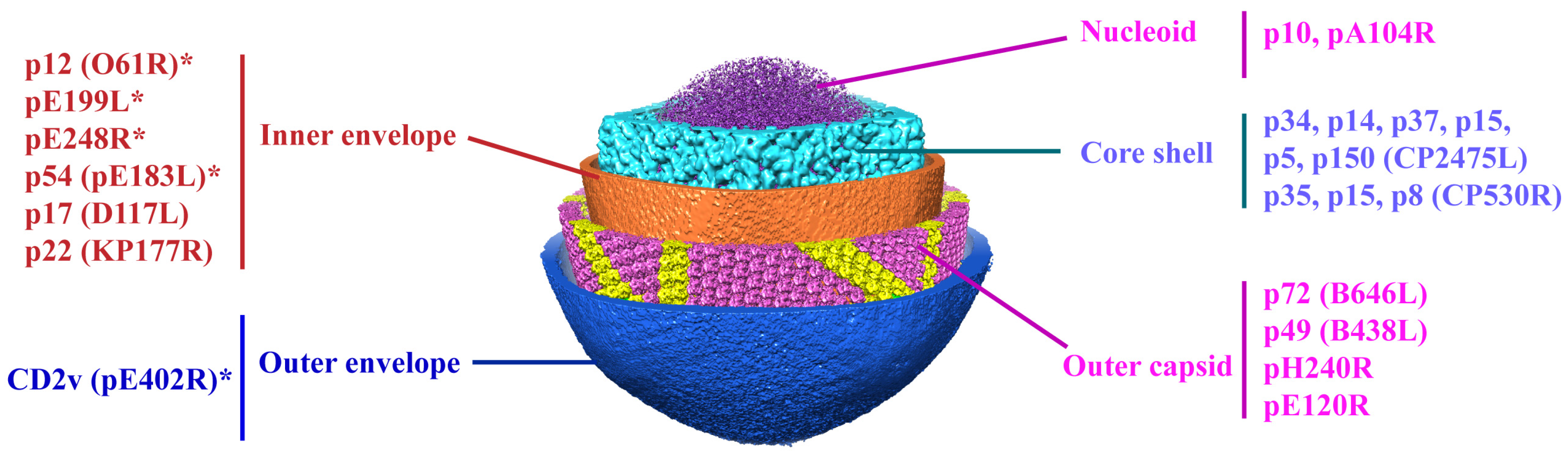 Viruses 13 02495 g001