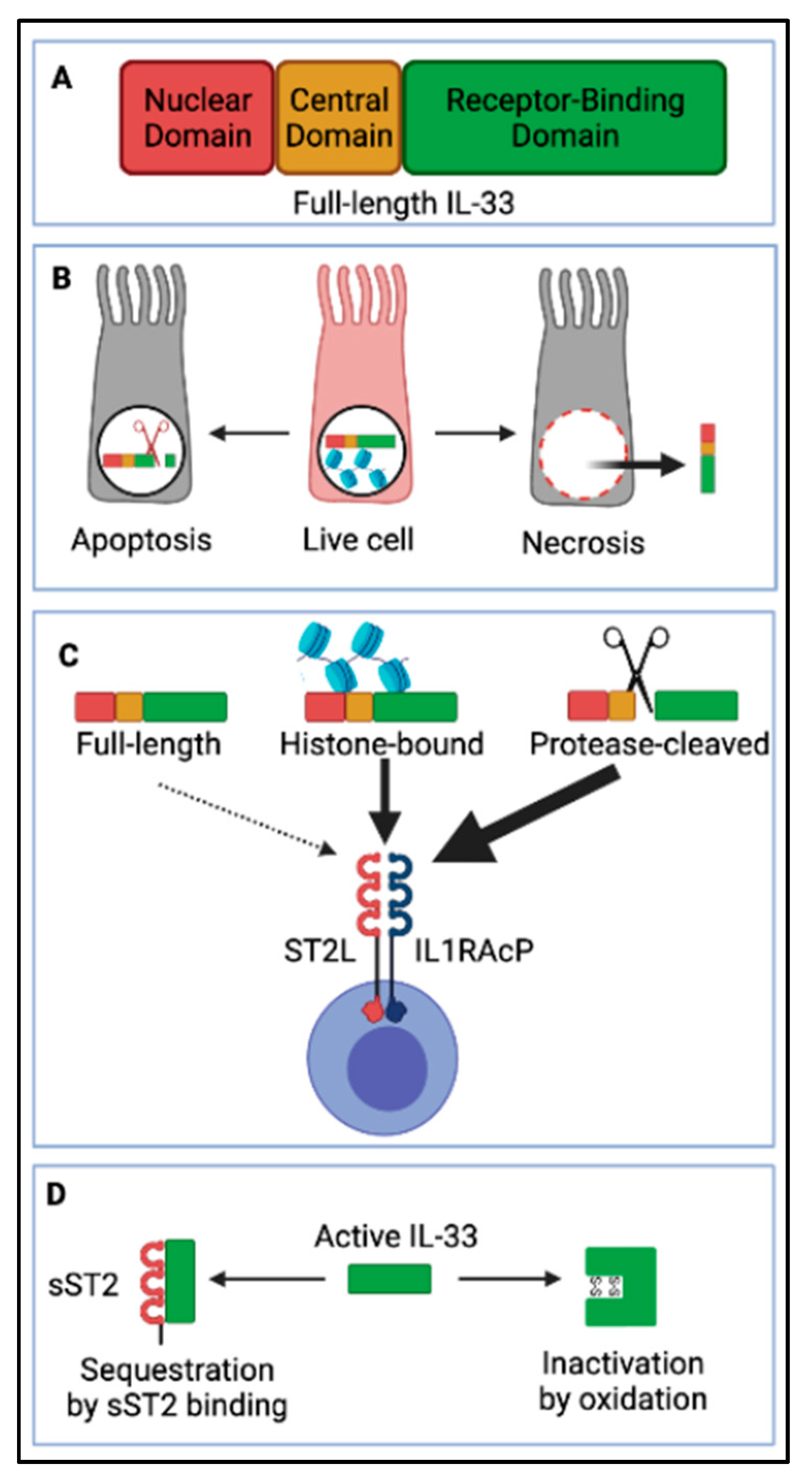 Viruses 13 02519 g003