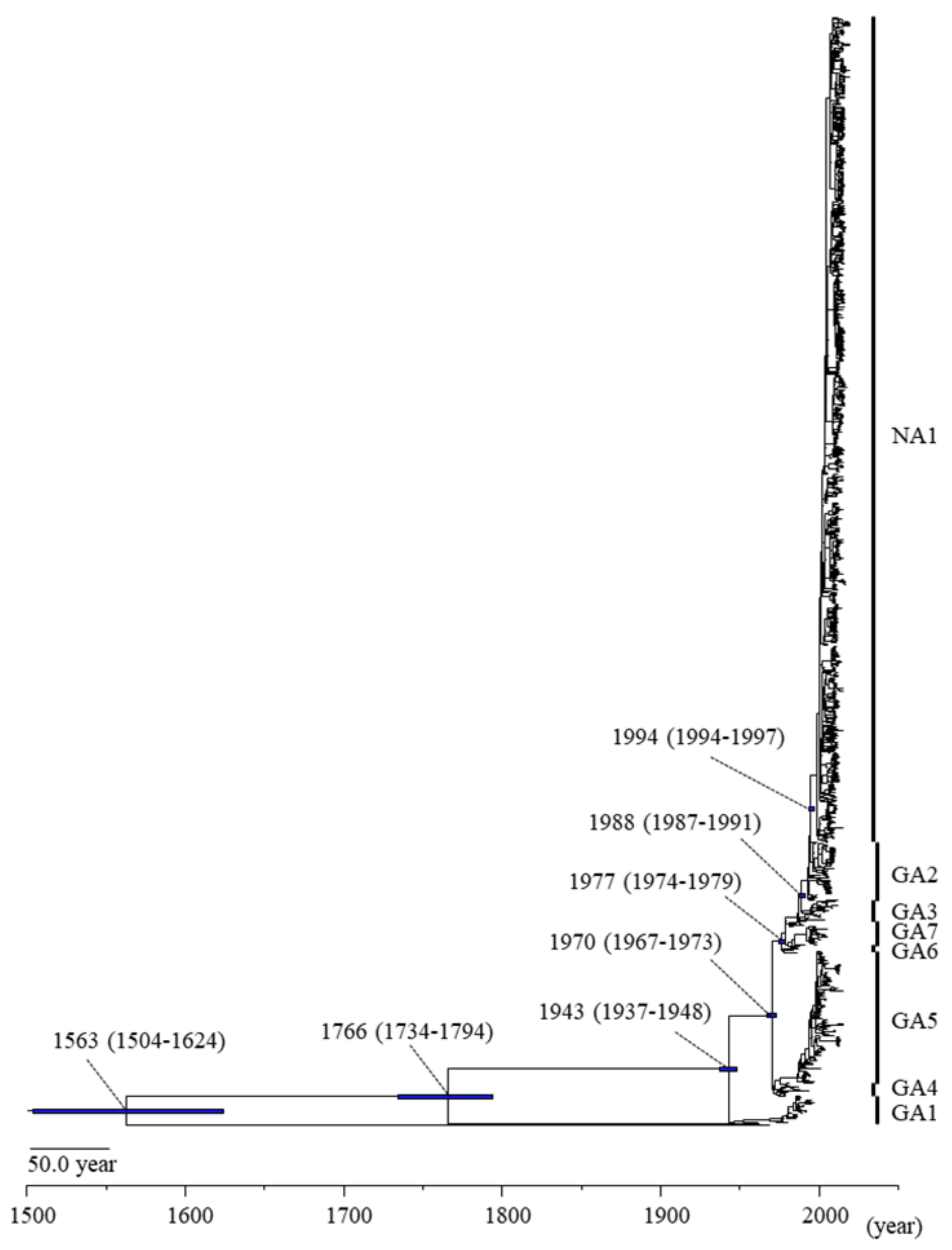 Viruses 13 02525 g001