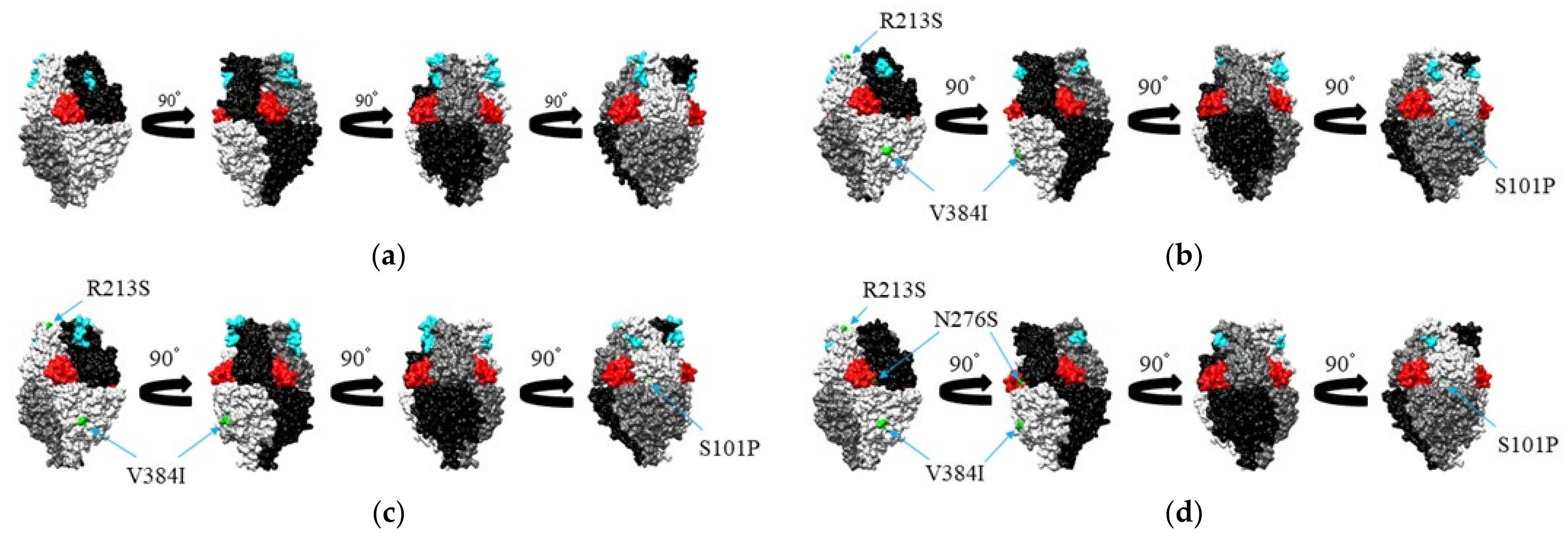 Viruses 13 02525 g005